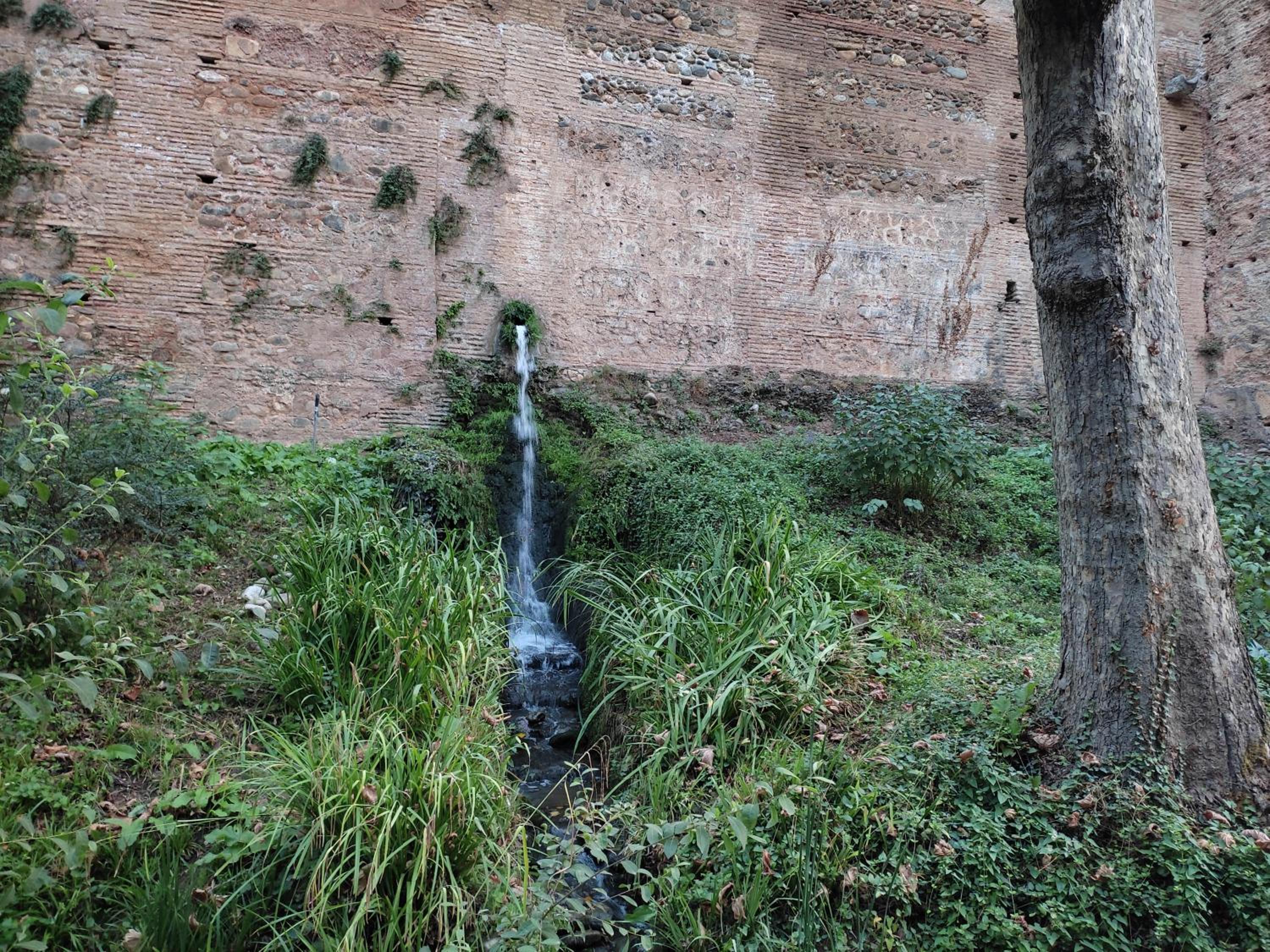 Photo 24