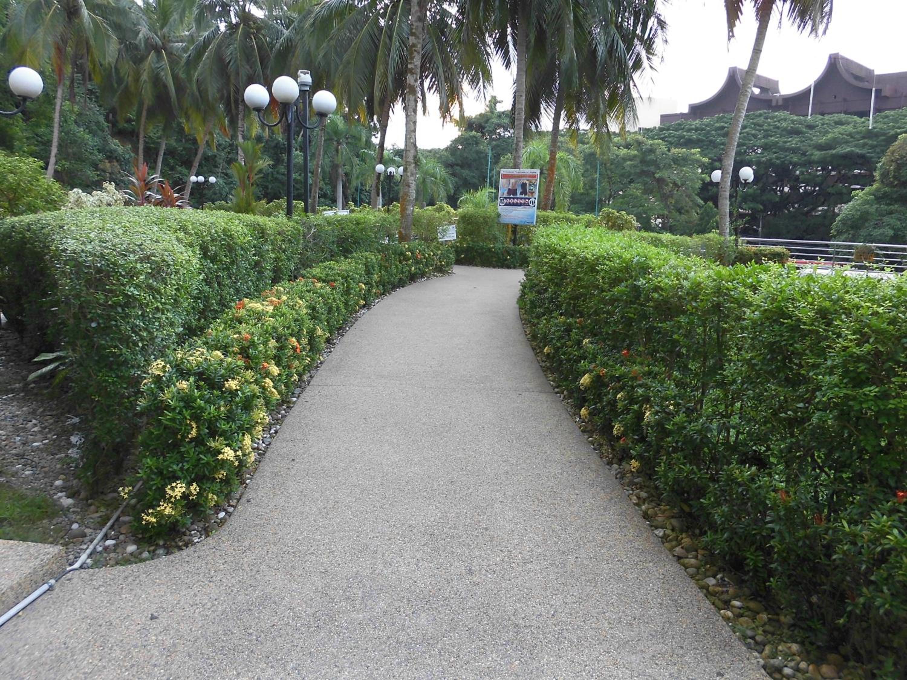 Batu Ferringhi Seaview Apartment