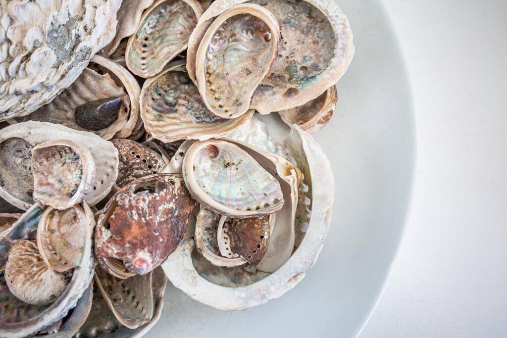 Star Fish Cottage Kalk Bay