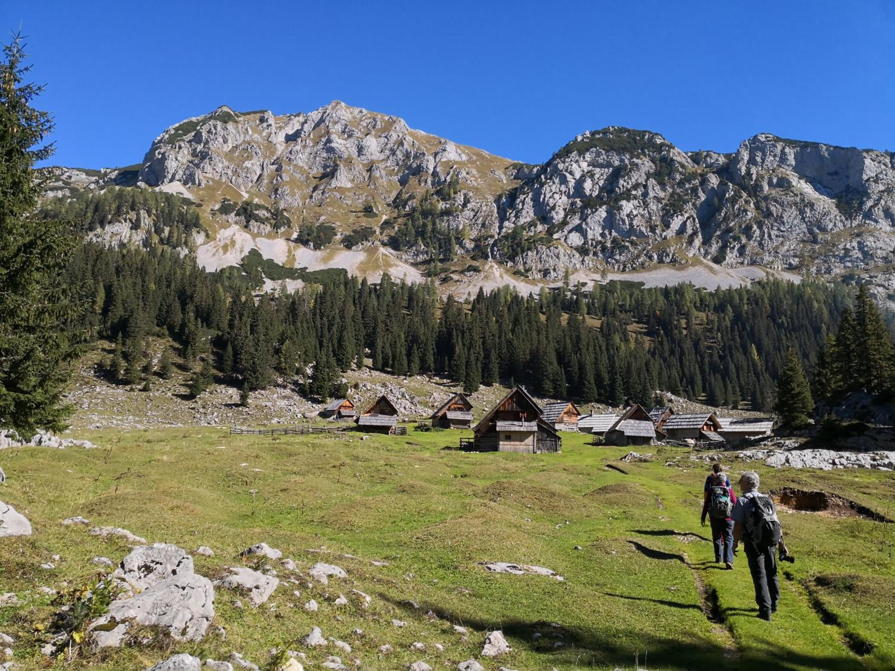 Chalet Hike&Bike above Bohinj valley view 3
