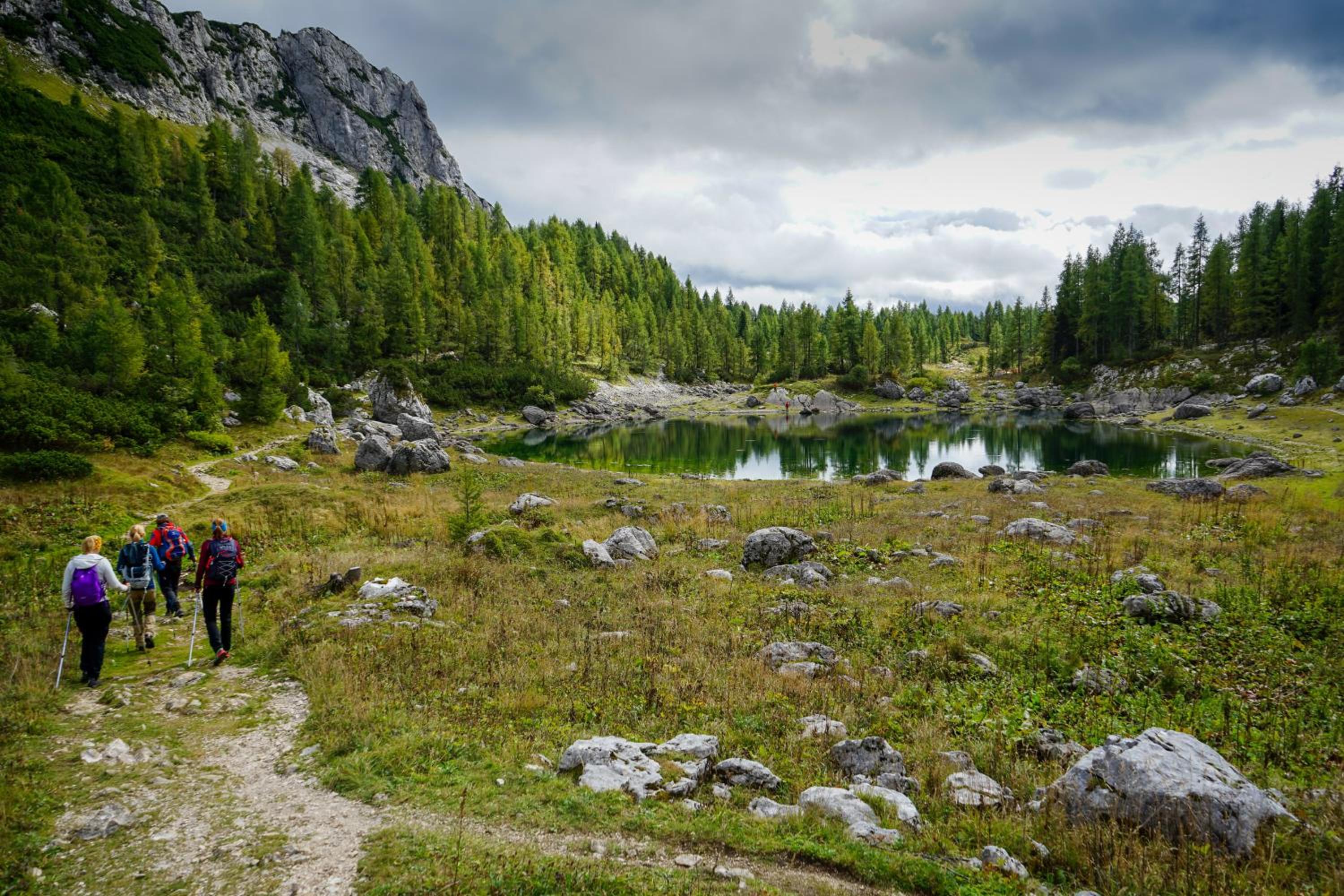 Chalet Hike&Bike above Bohinj valley view 5