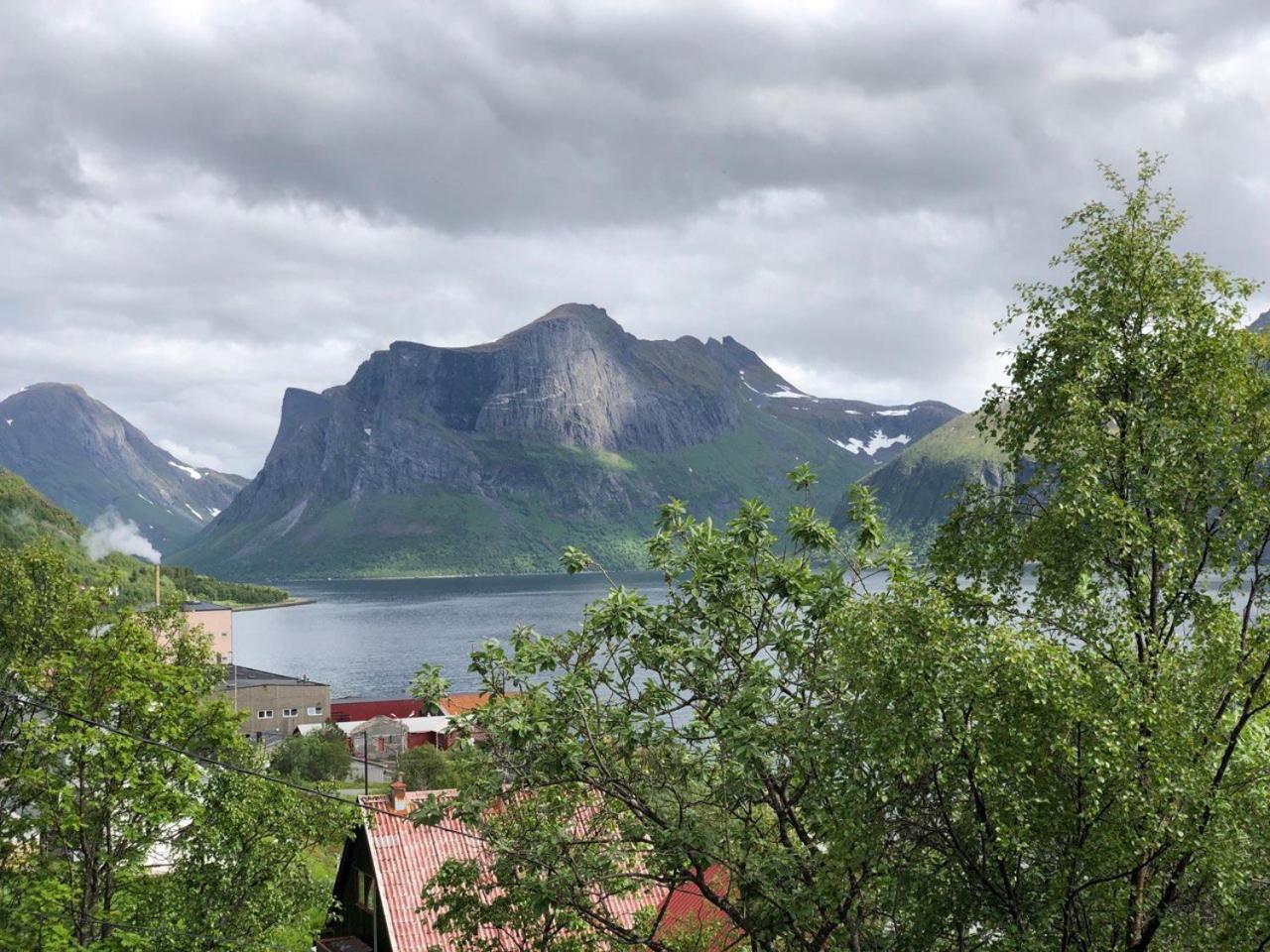 Hus på bakken