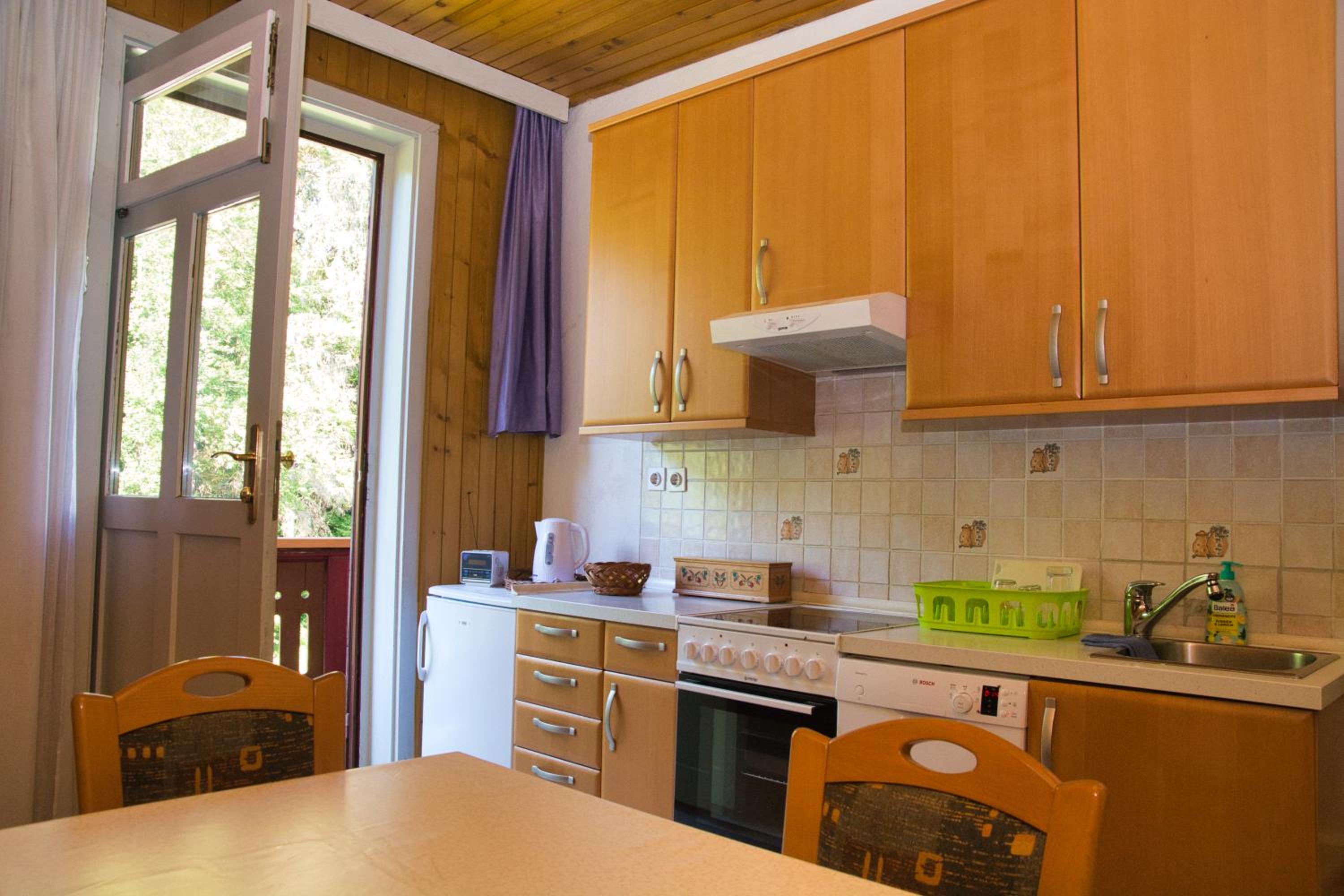 Apartma Vila Kočna view 4