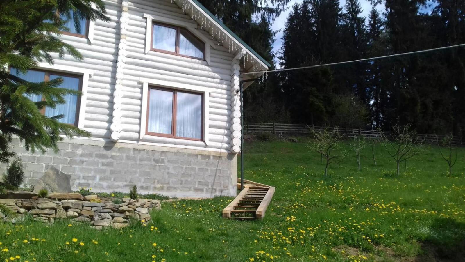 Шепіт лісу view 5