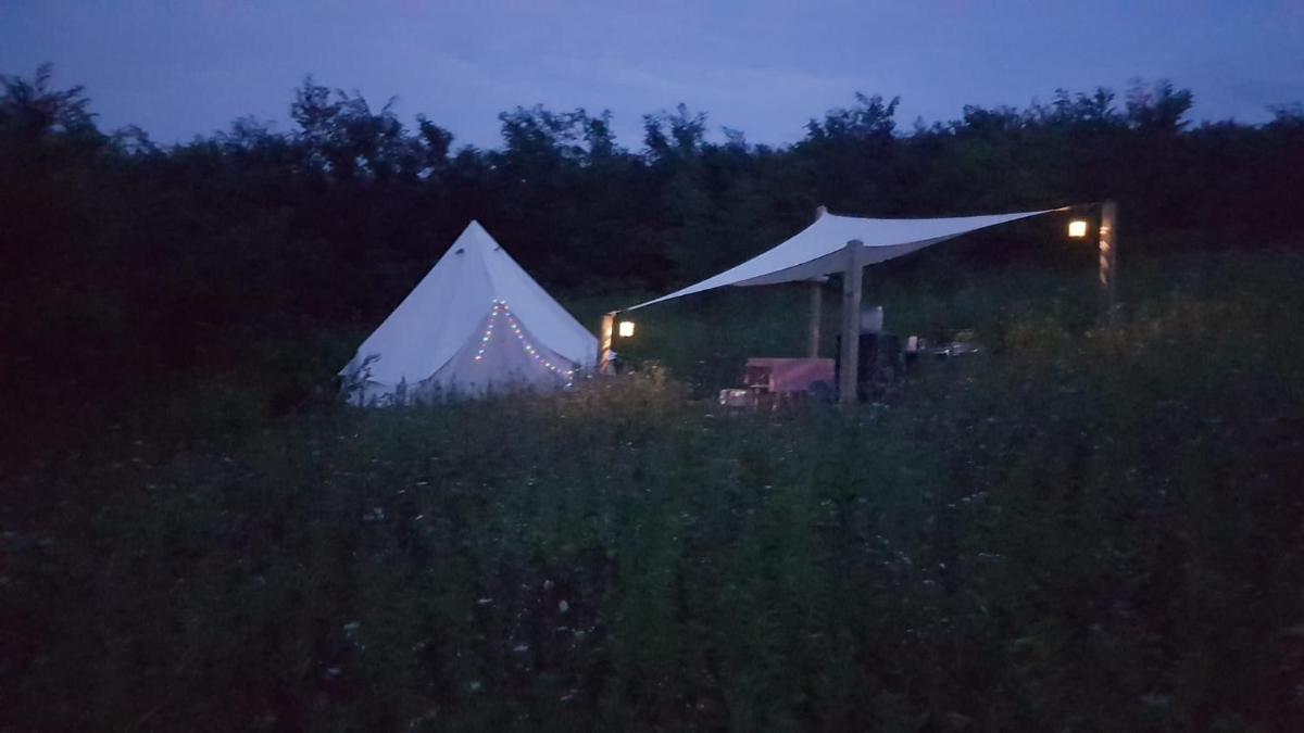 Koppány Pines Nature Escapes - Wild Bell Tents view 5
