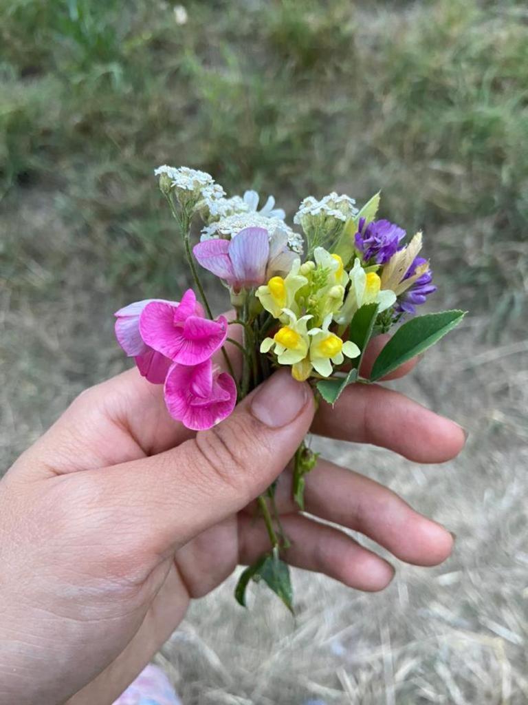 Photo 32
