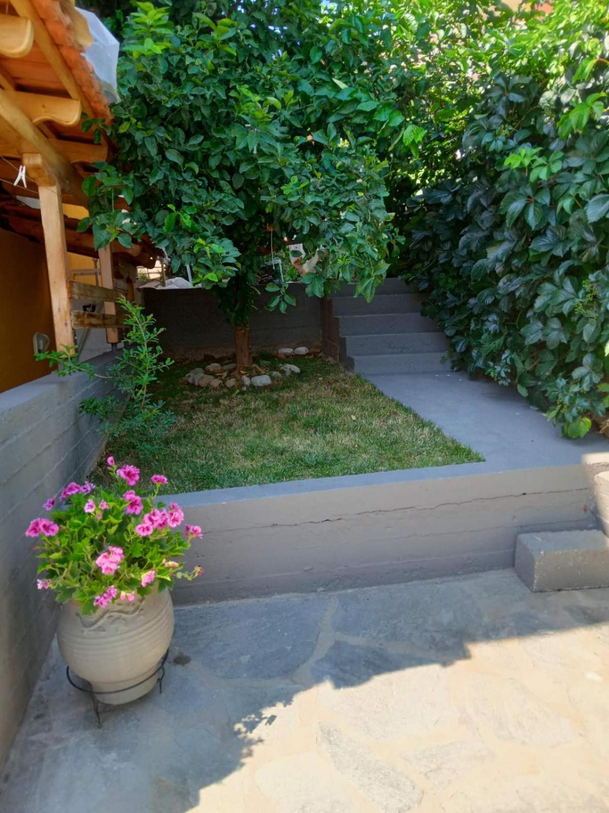 Photo 6