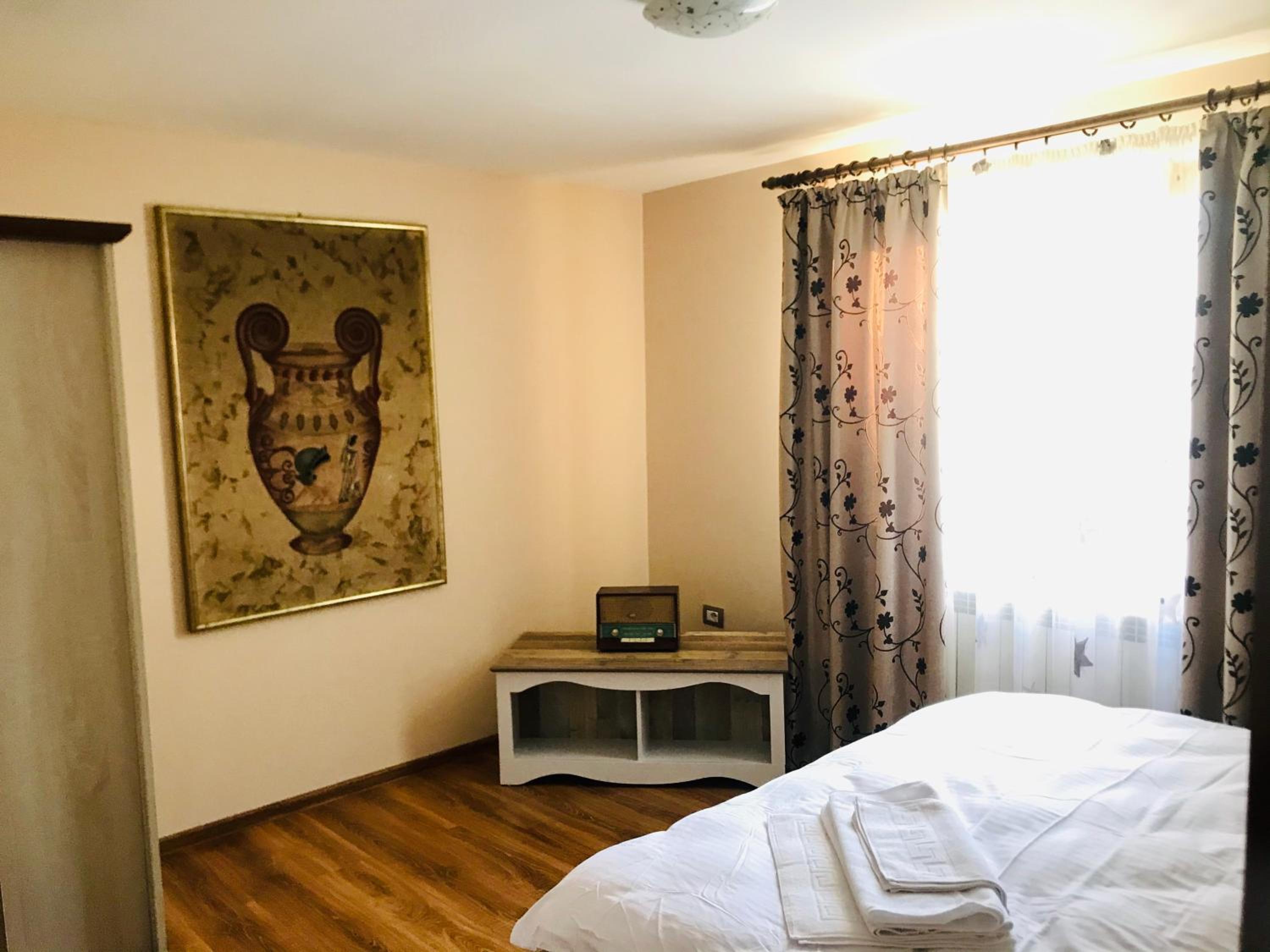 Apartament La Vilă view 5