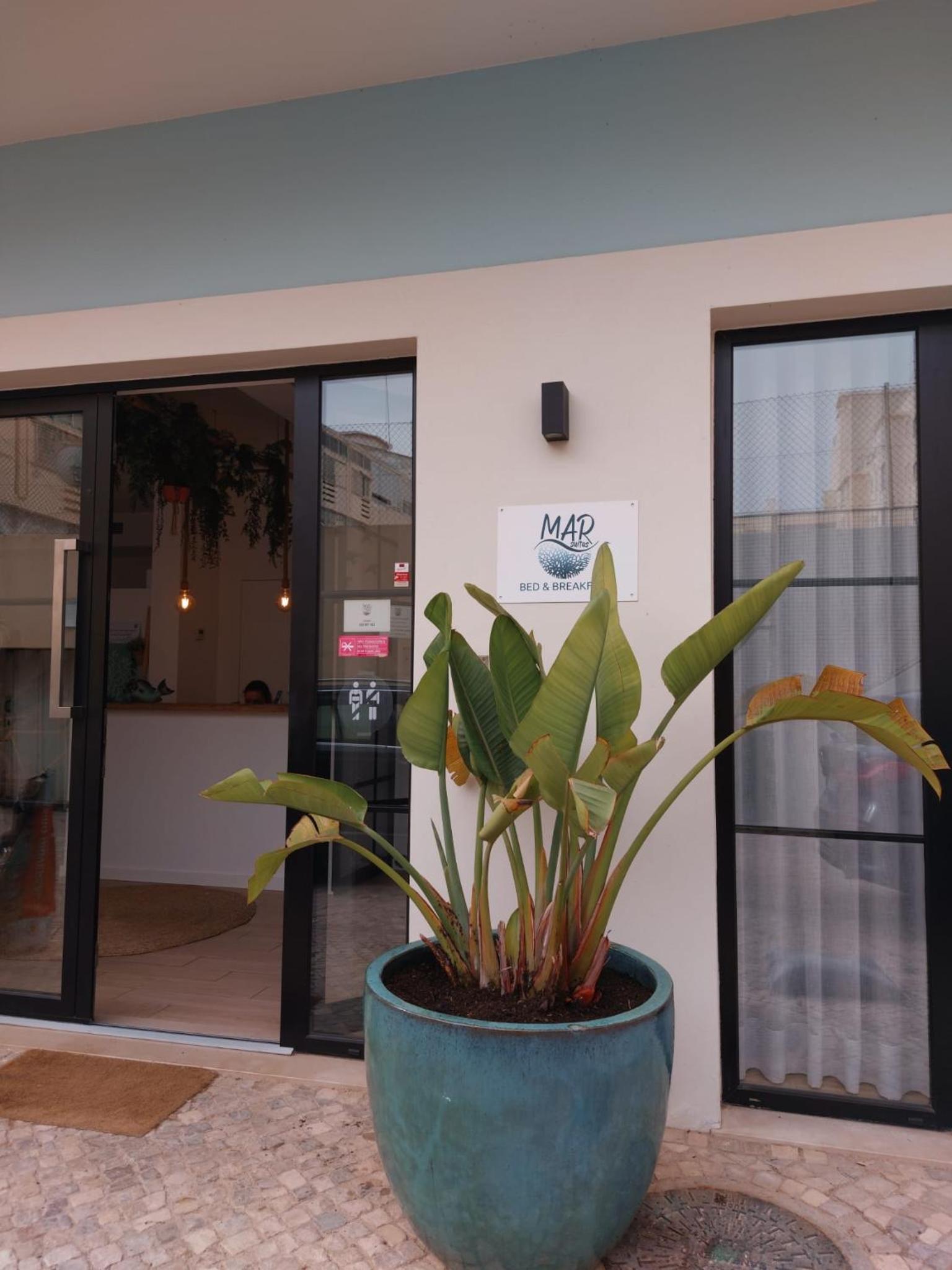 Marsuites