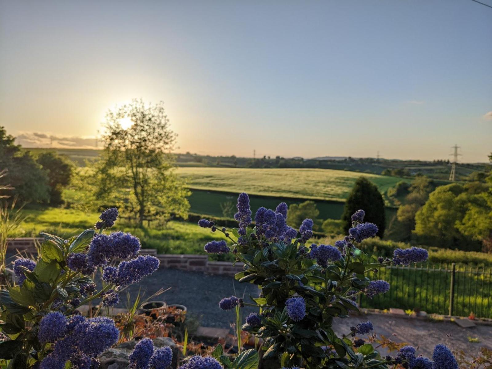 Thatch Close Cottages view 4