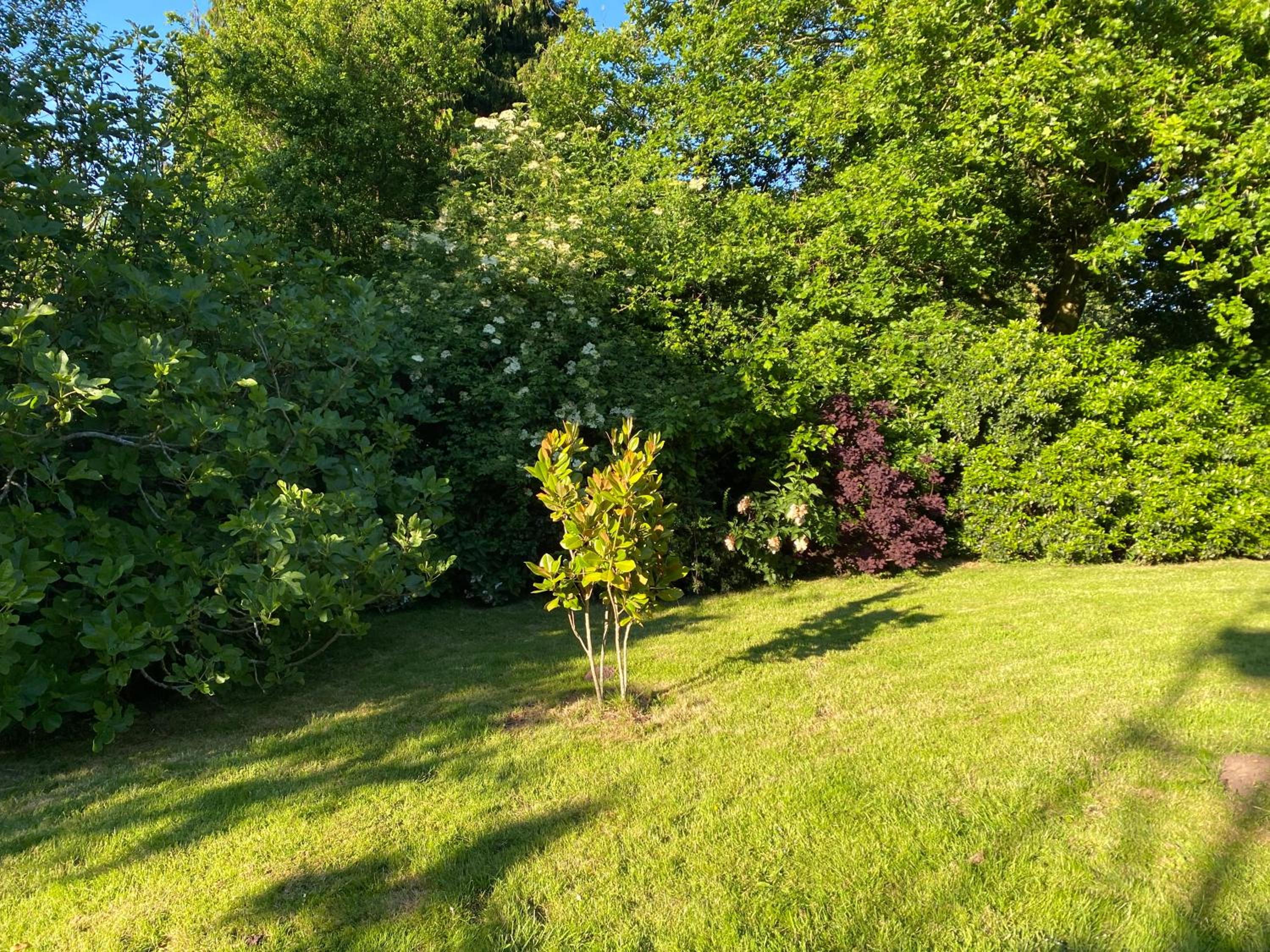 Photo 41
