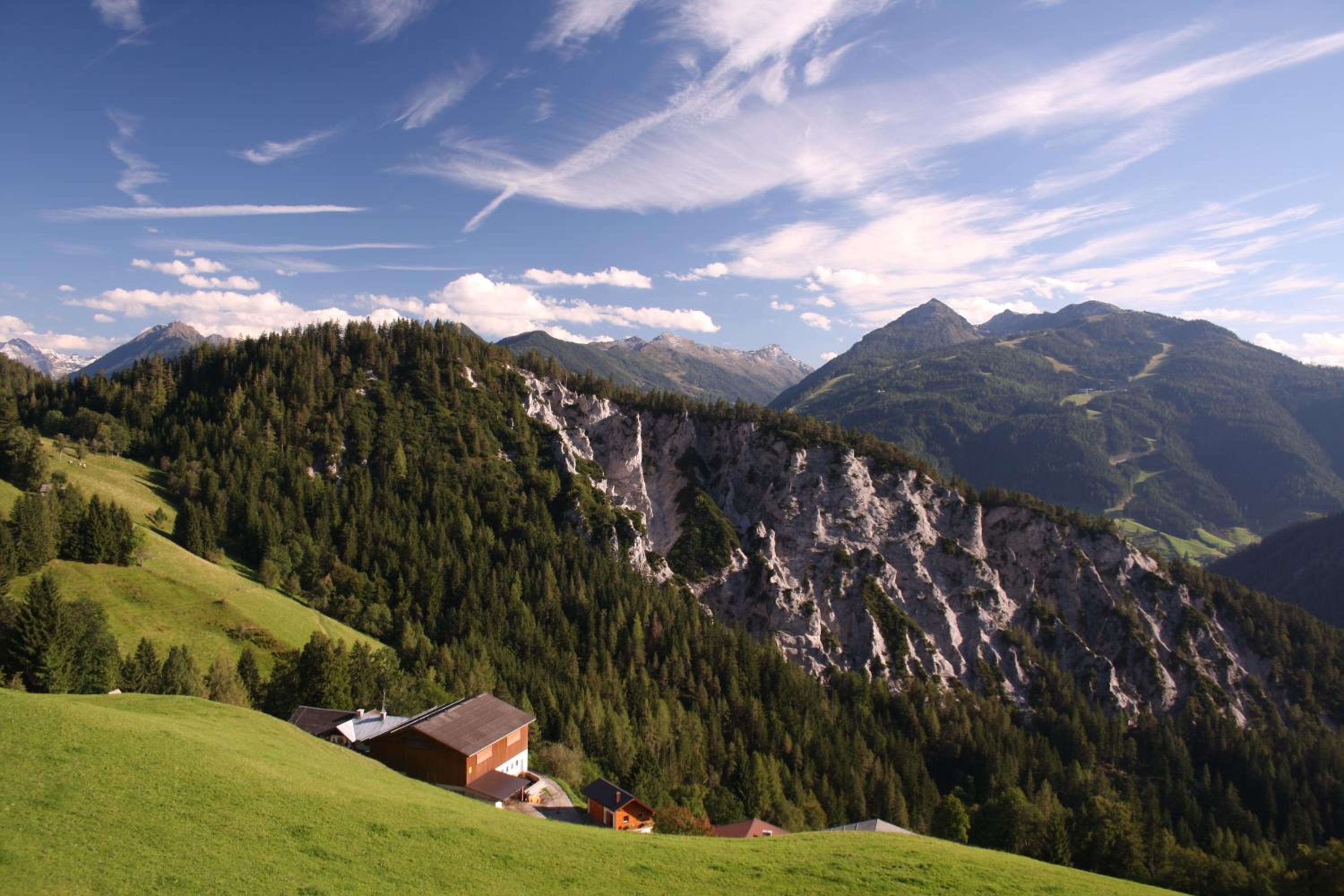 Pension Bergbauernhof Irxner