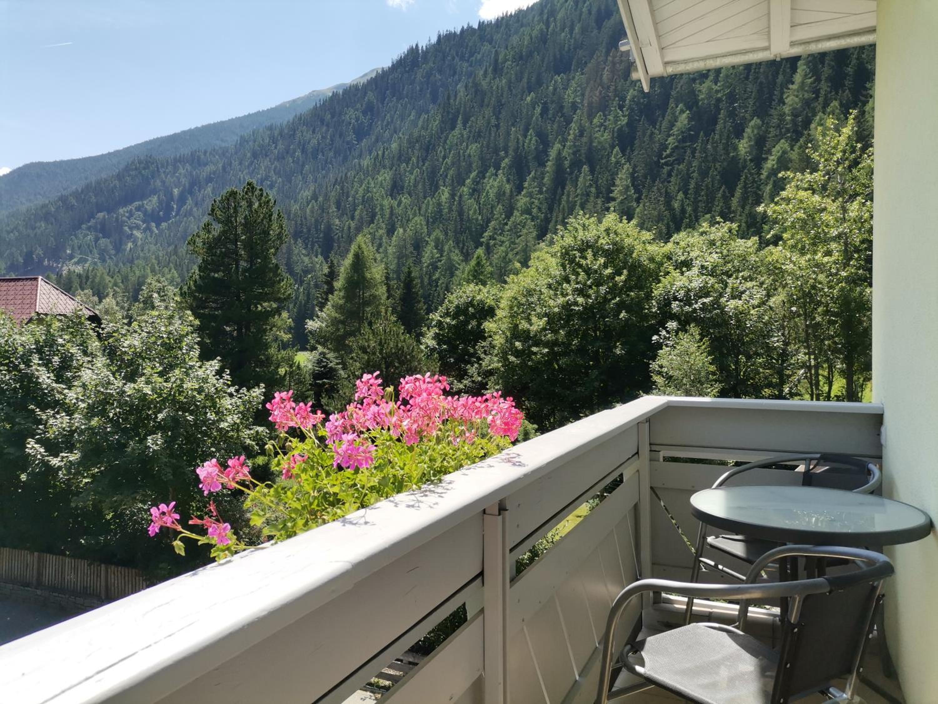 AH Carinthia Mallnitz - Carinthia Appartements