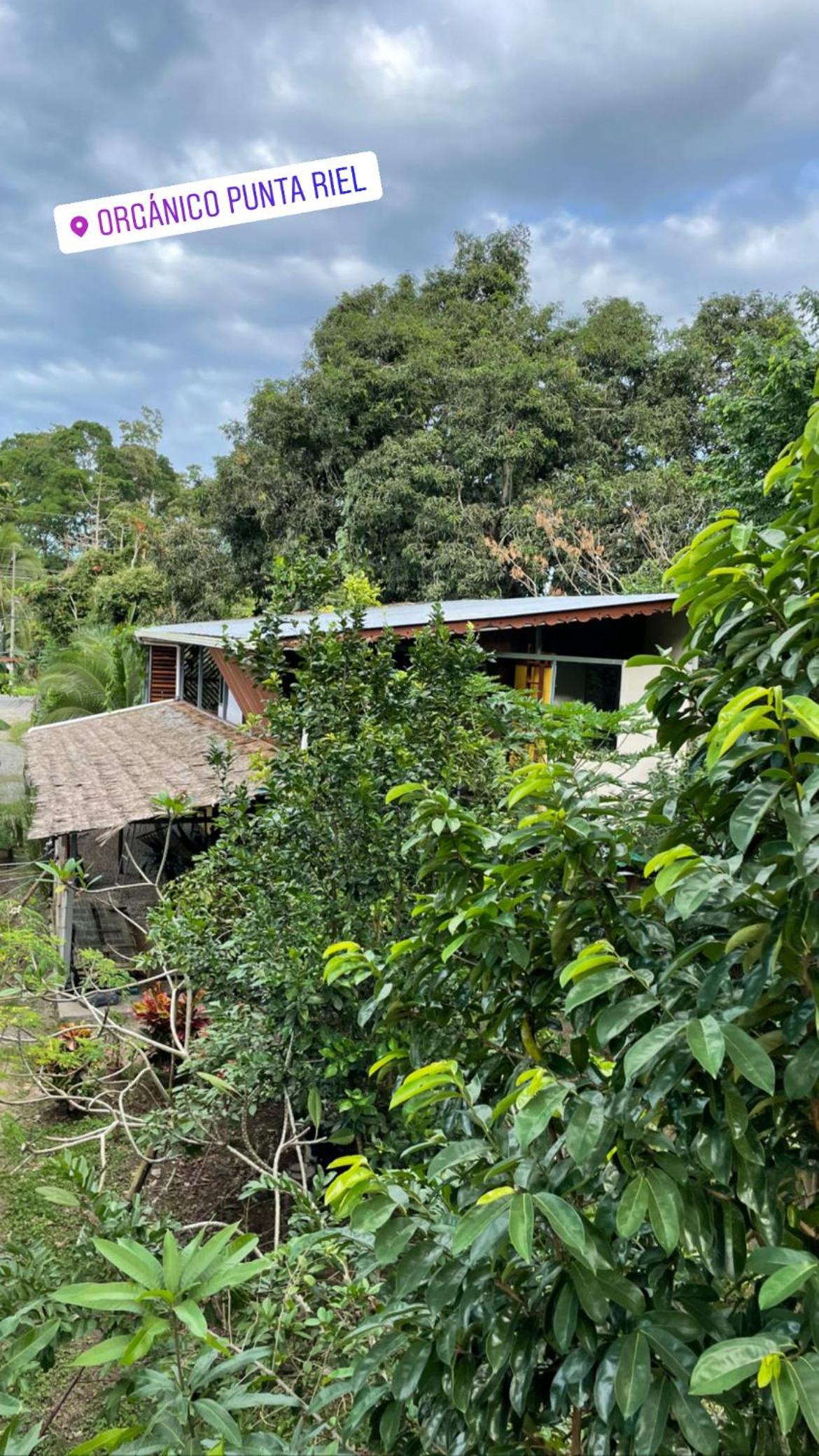 Orgánico Punta Riel