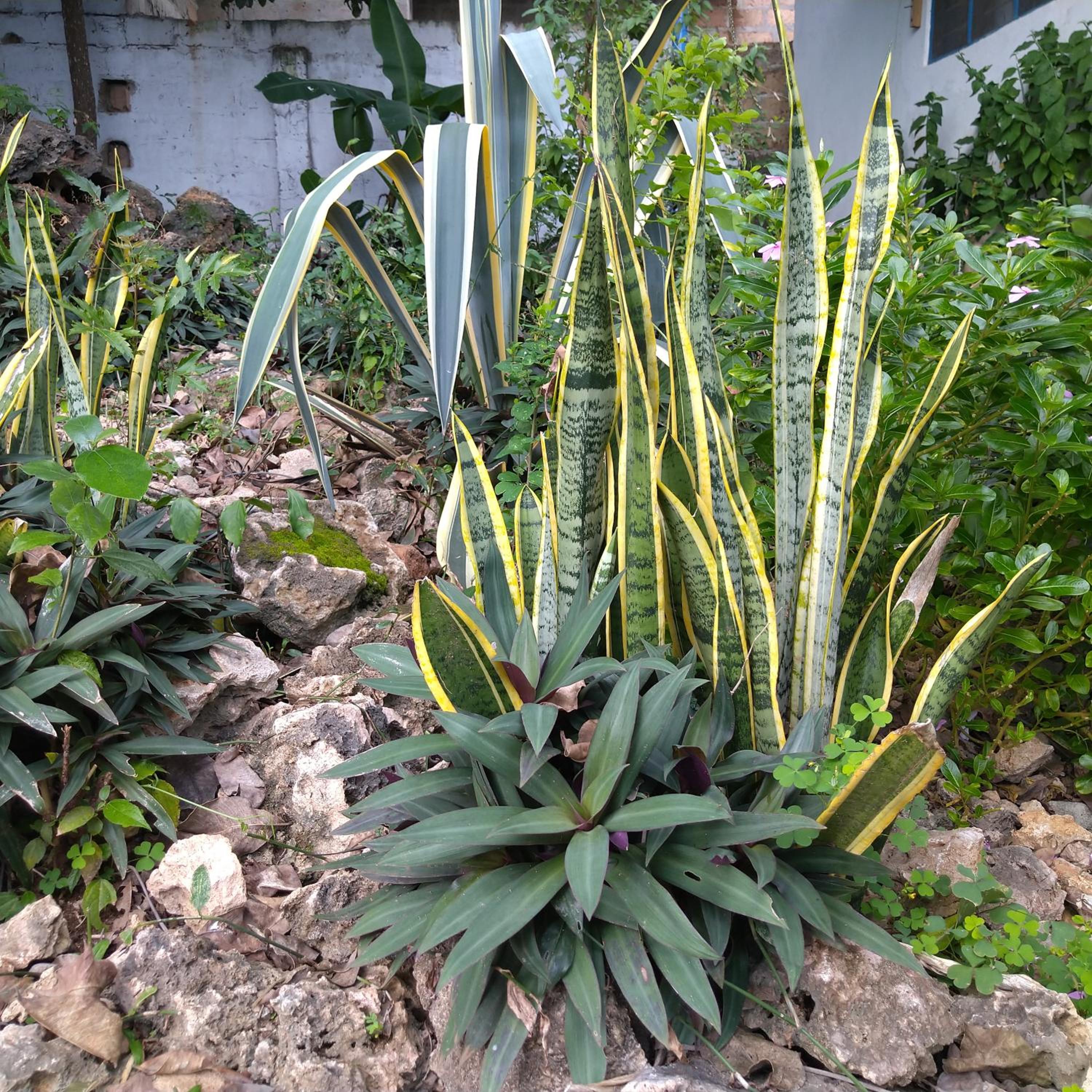 Photo 14
