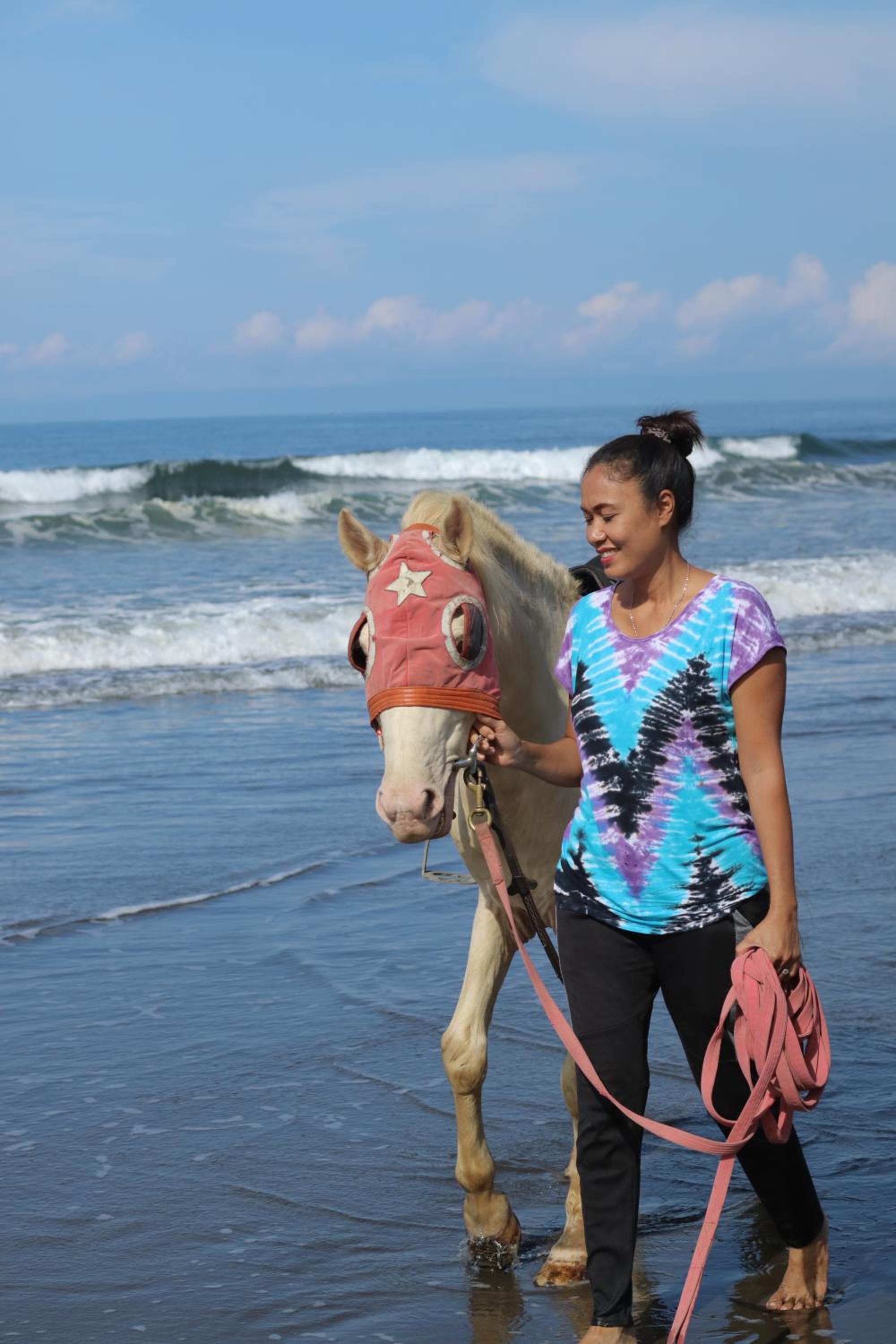 Jembrana Bali Homestay view 5