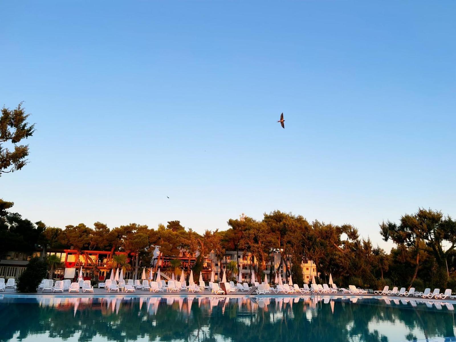 Divjaka Resort