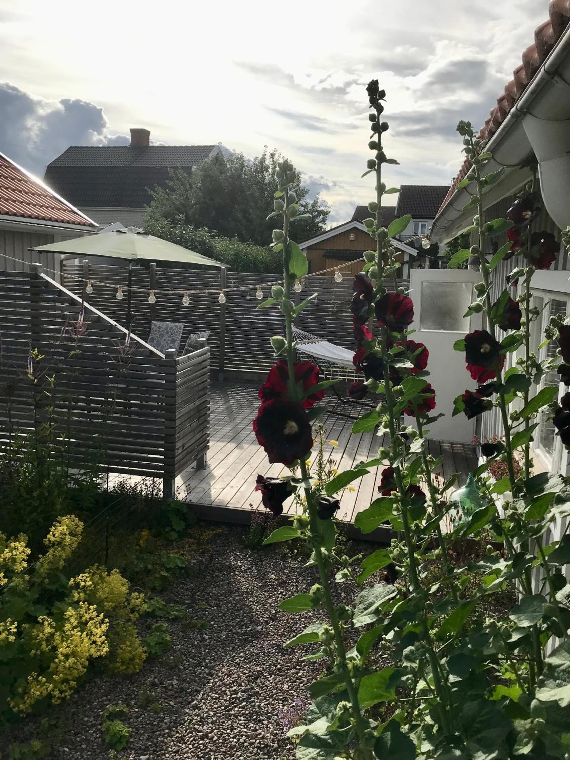 Hatty's Guesthouse view 4