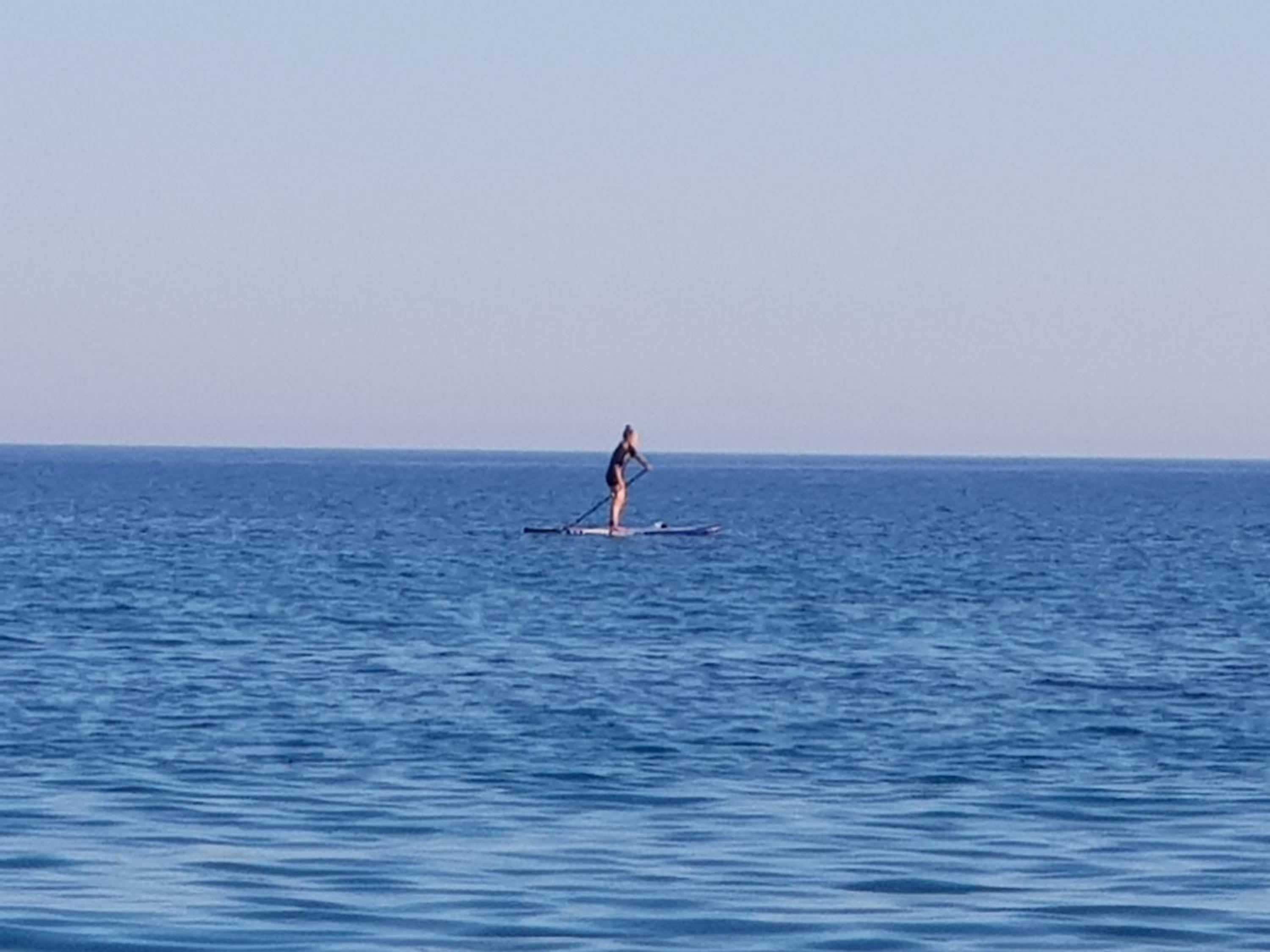 human