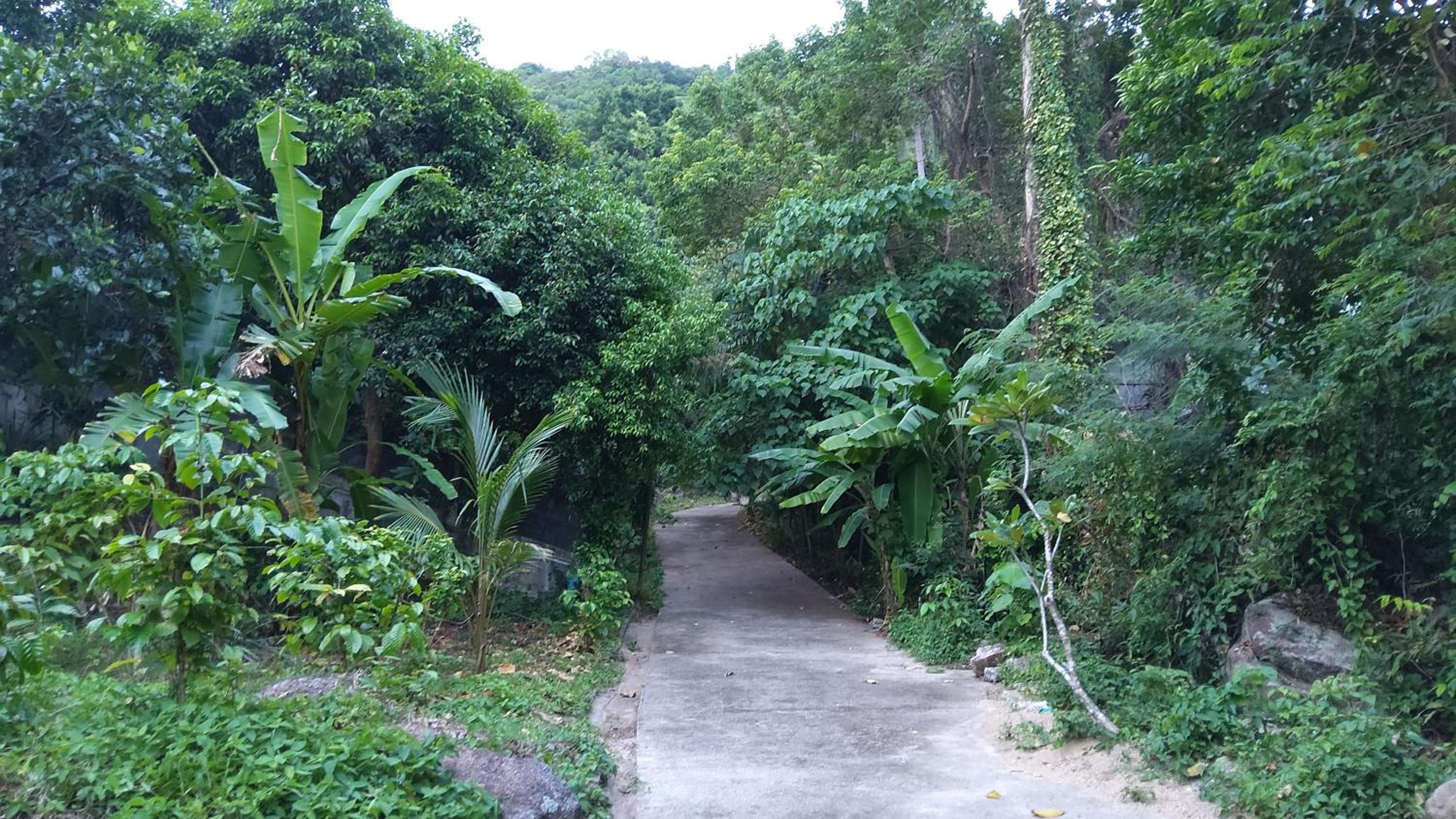 Wilai Villa Lamai