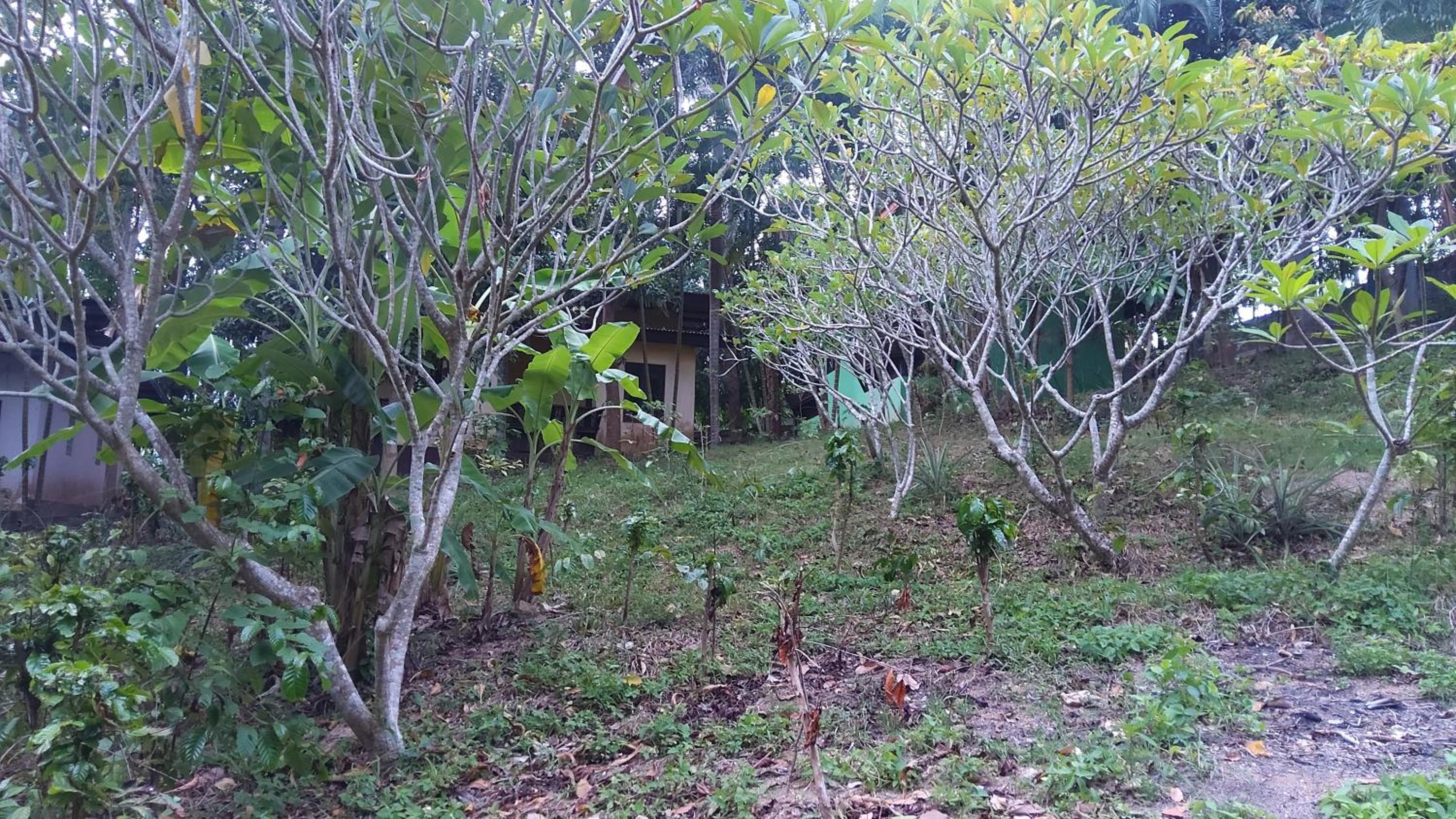 Wilai Villa Lamai