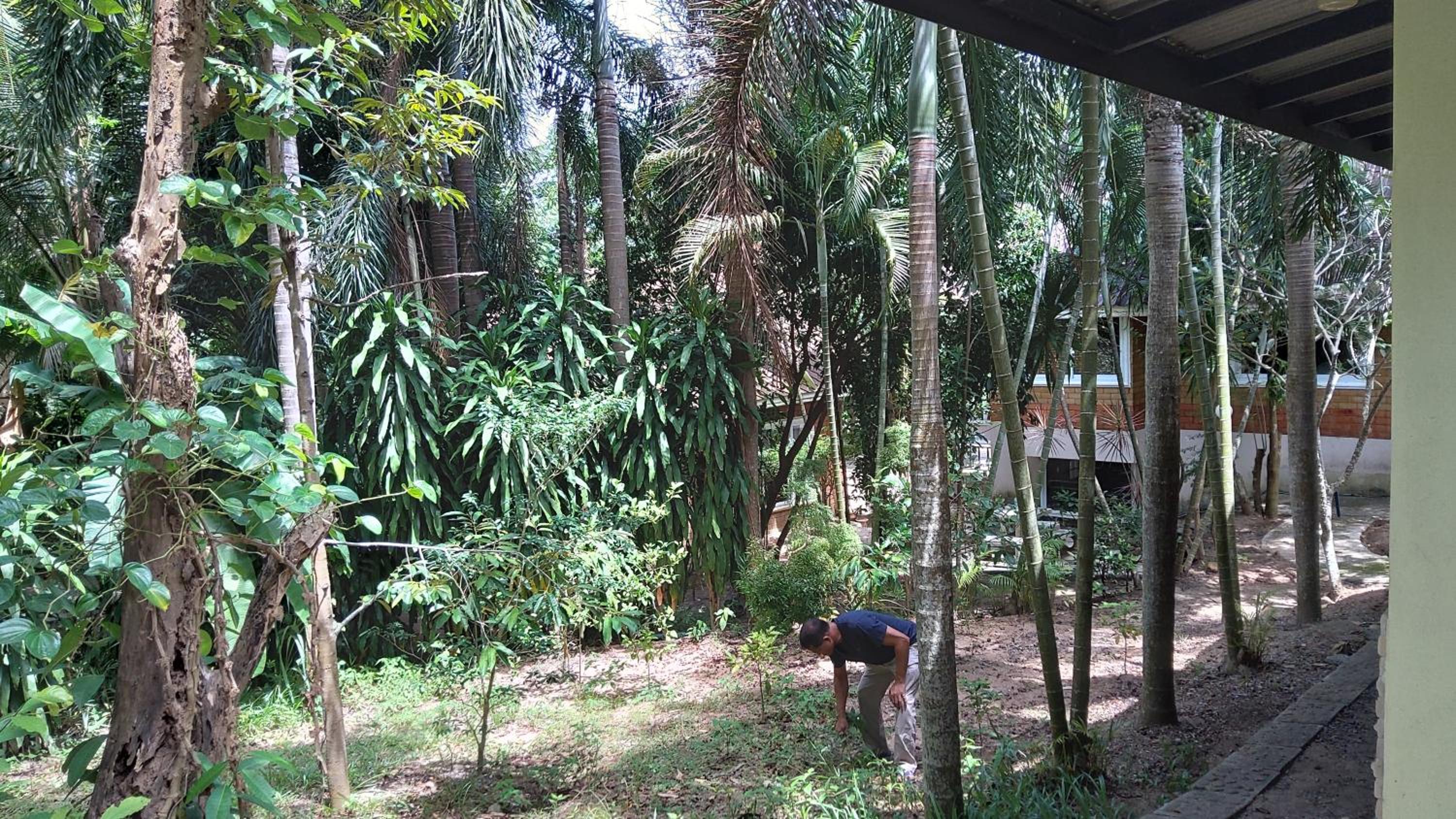 Wilai Villa Lamai