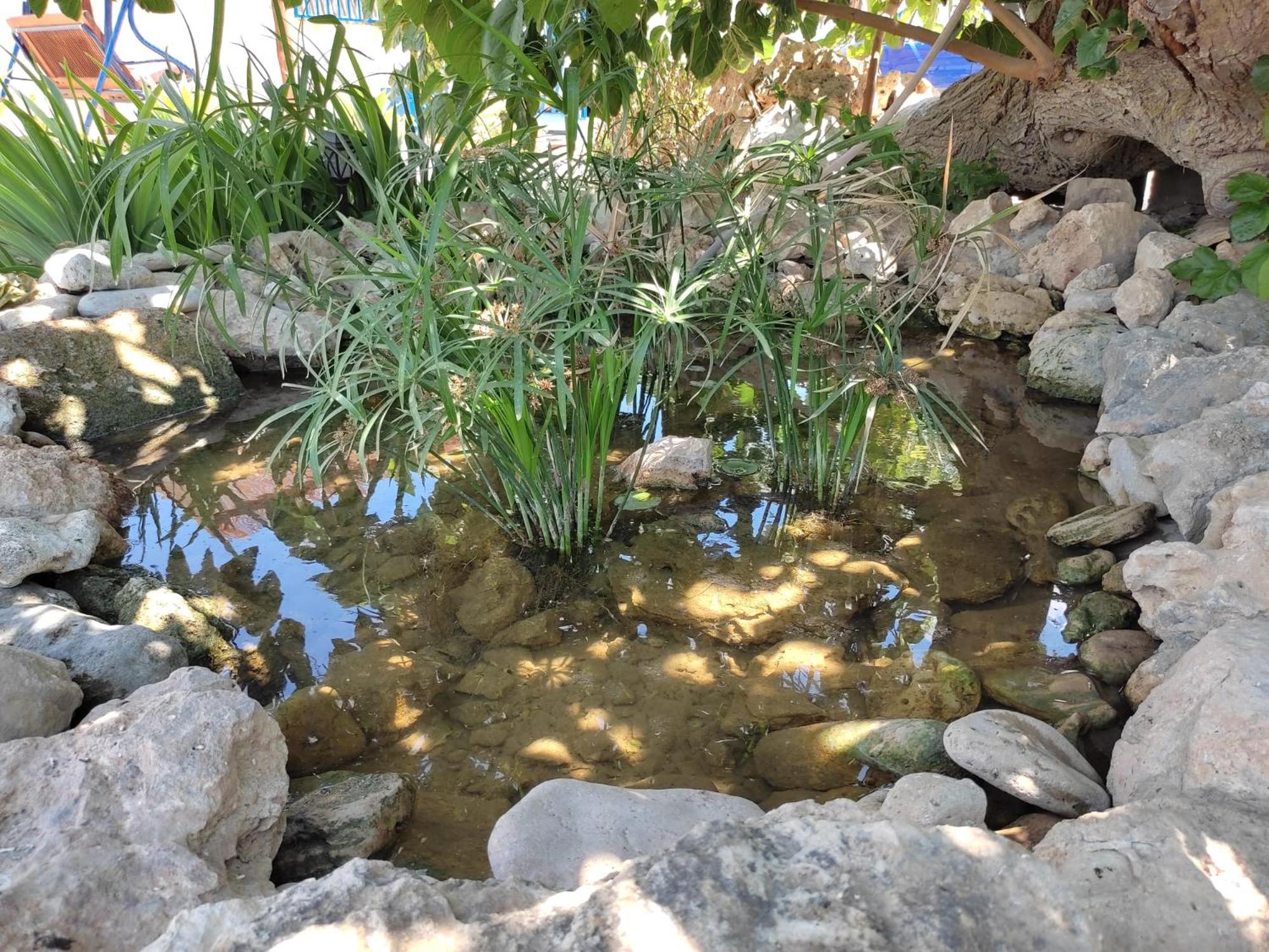 Photo 8