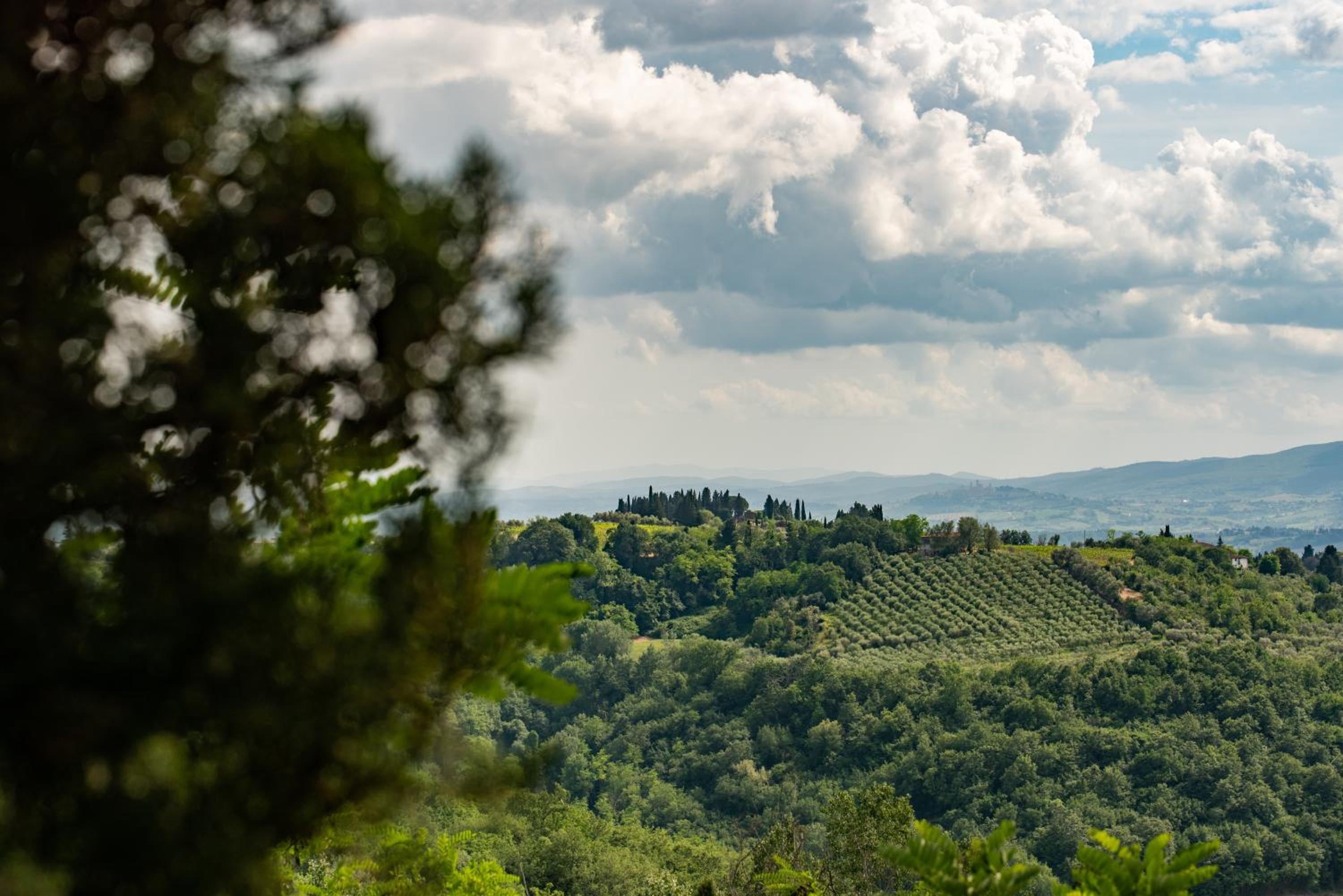 Podere Mezzastrada - Place of Charme