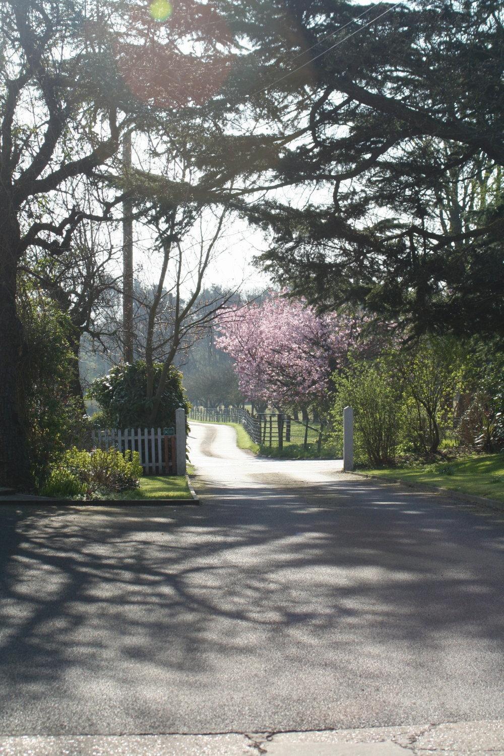Ingon Bank Farm Bed And Breakfast view 3