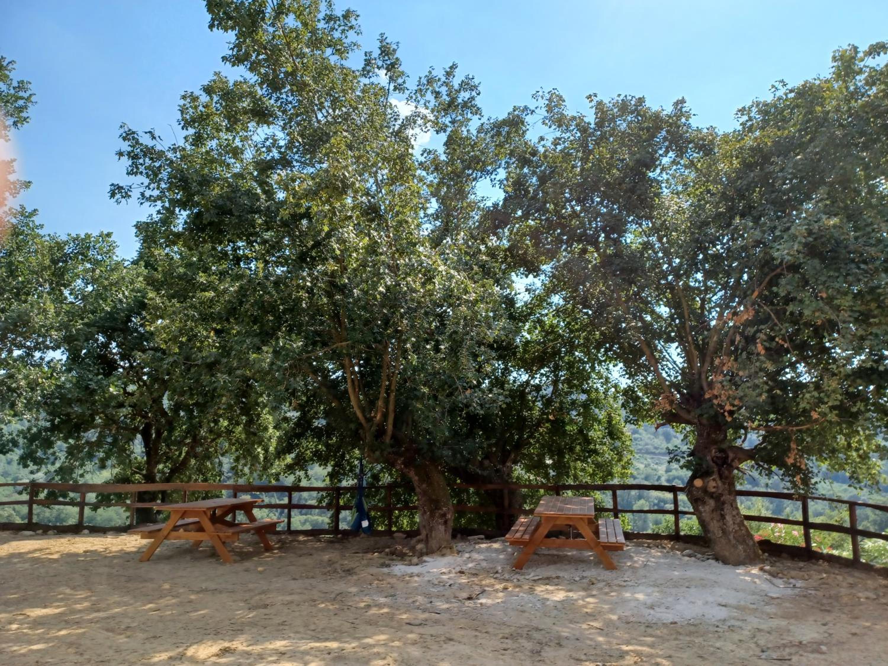Agriturismo Cisogna