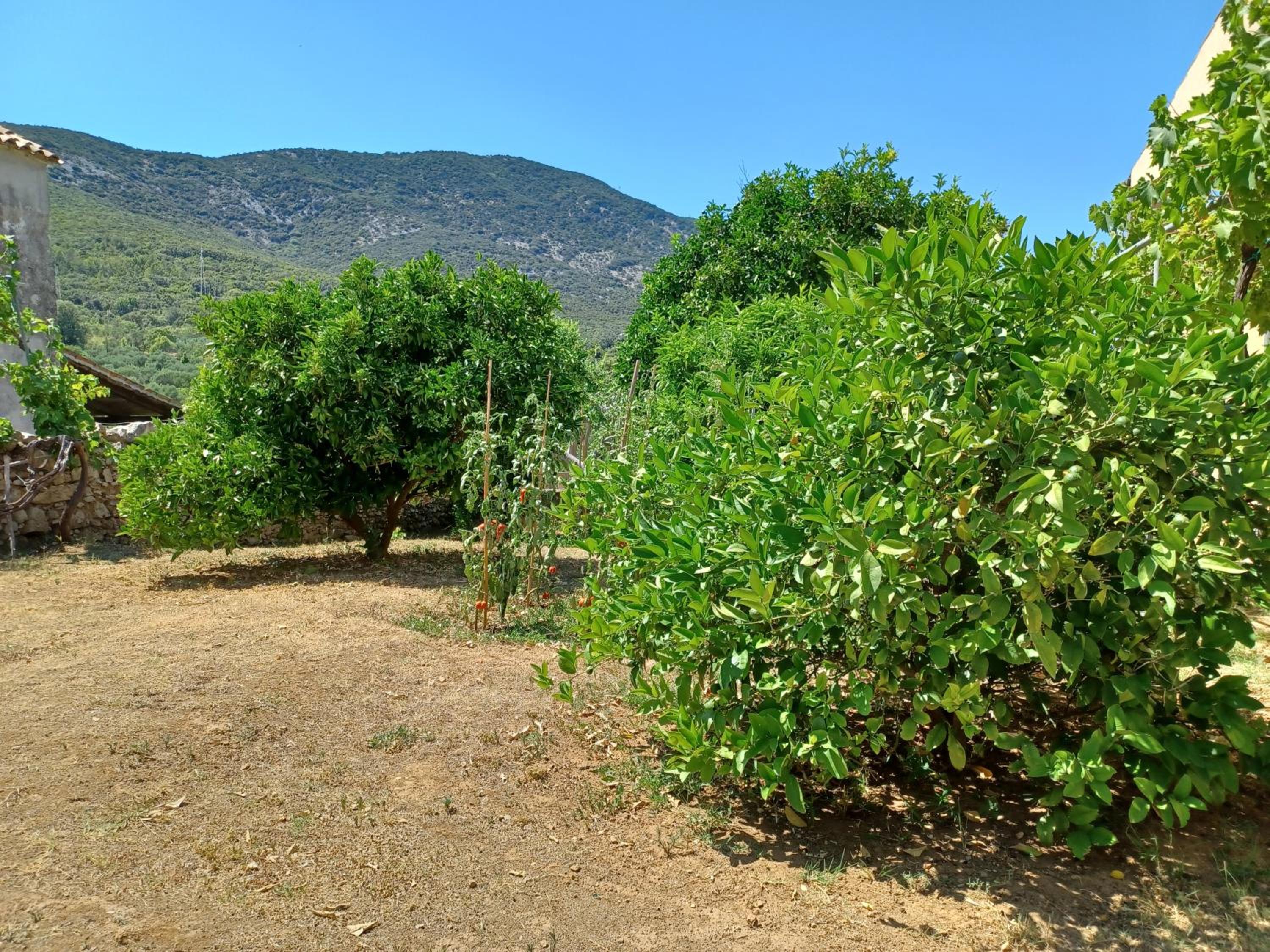 Photo 16