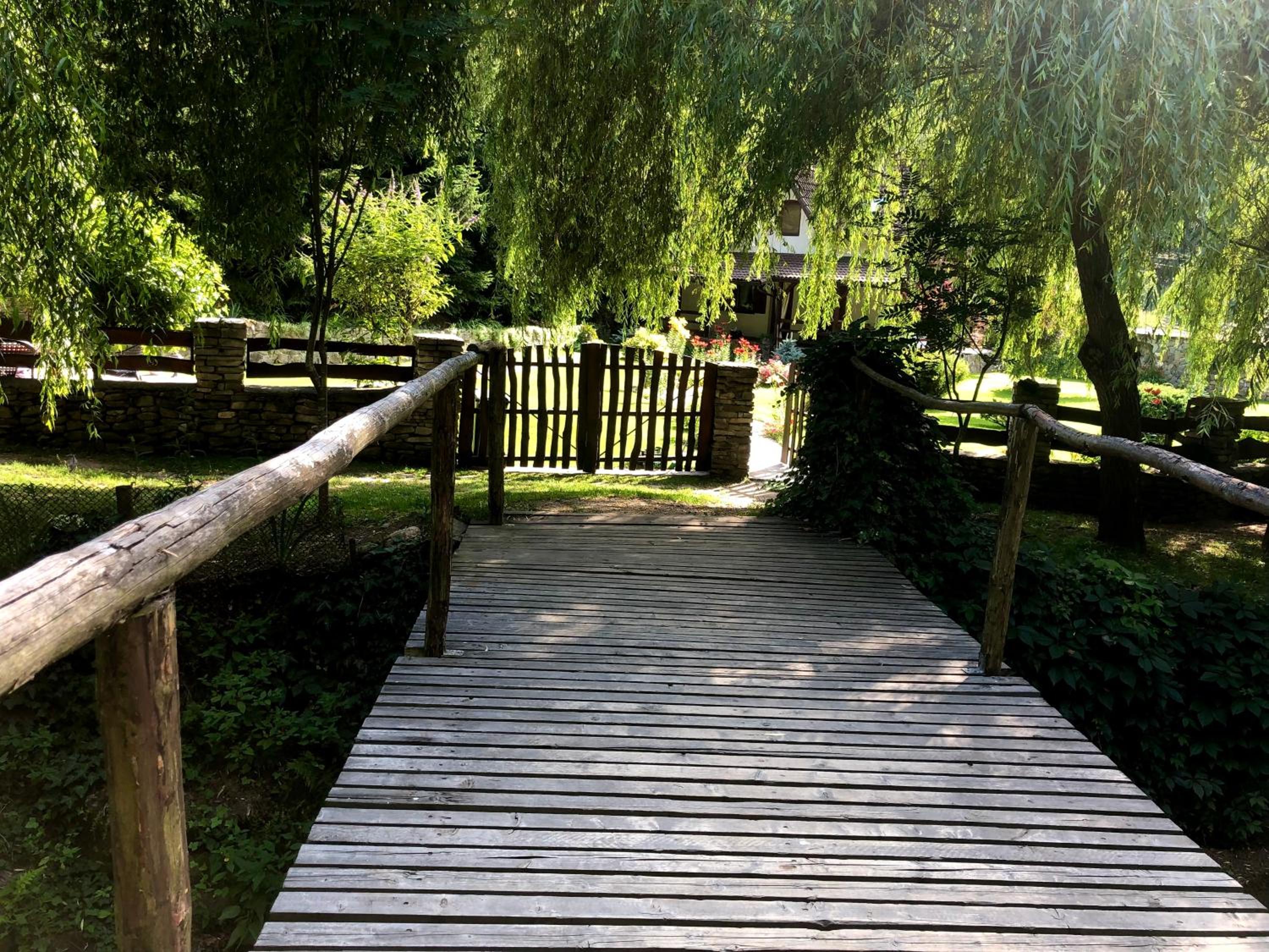 Photo 17