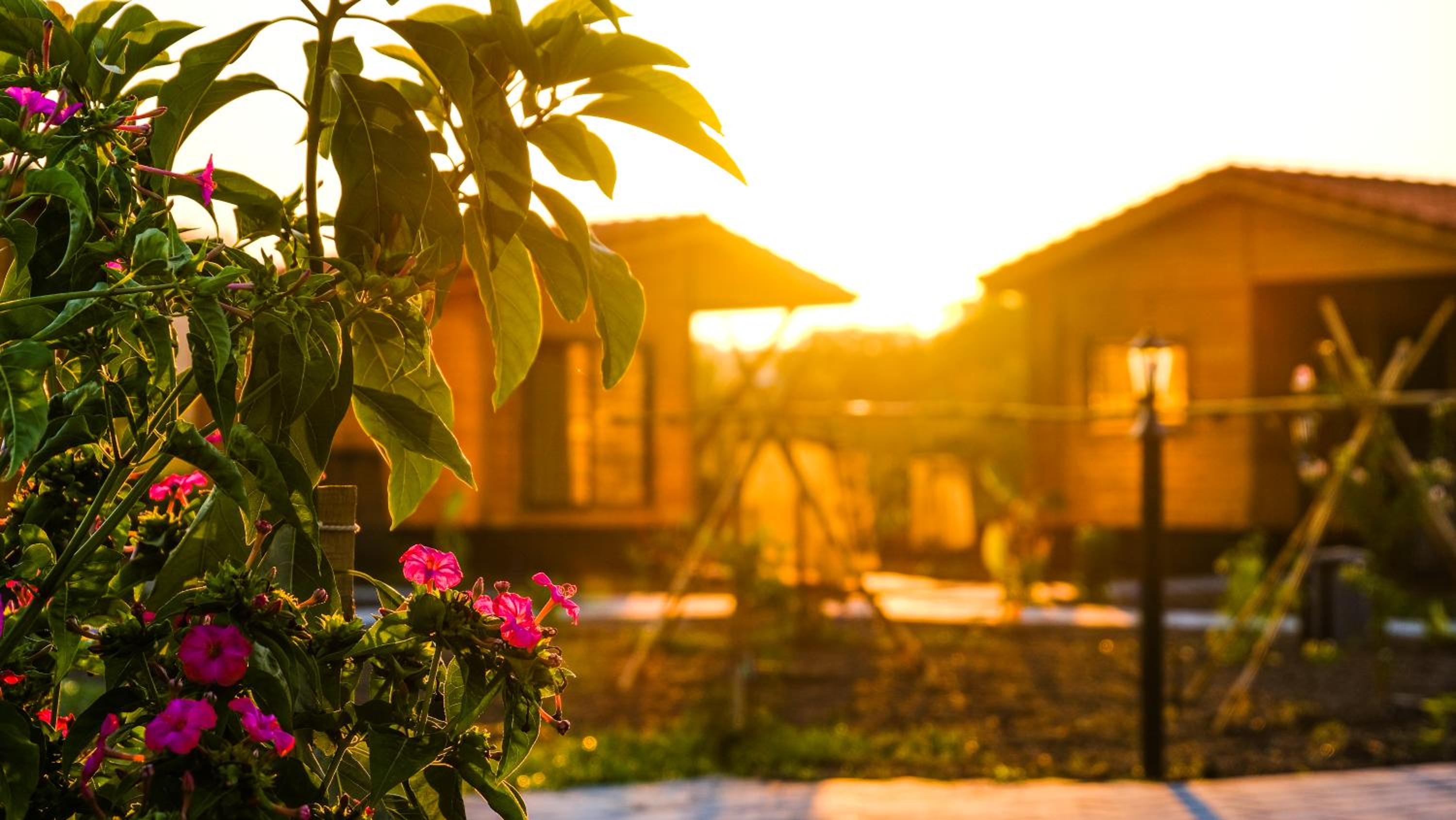 Lemon Garden Lodge
