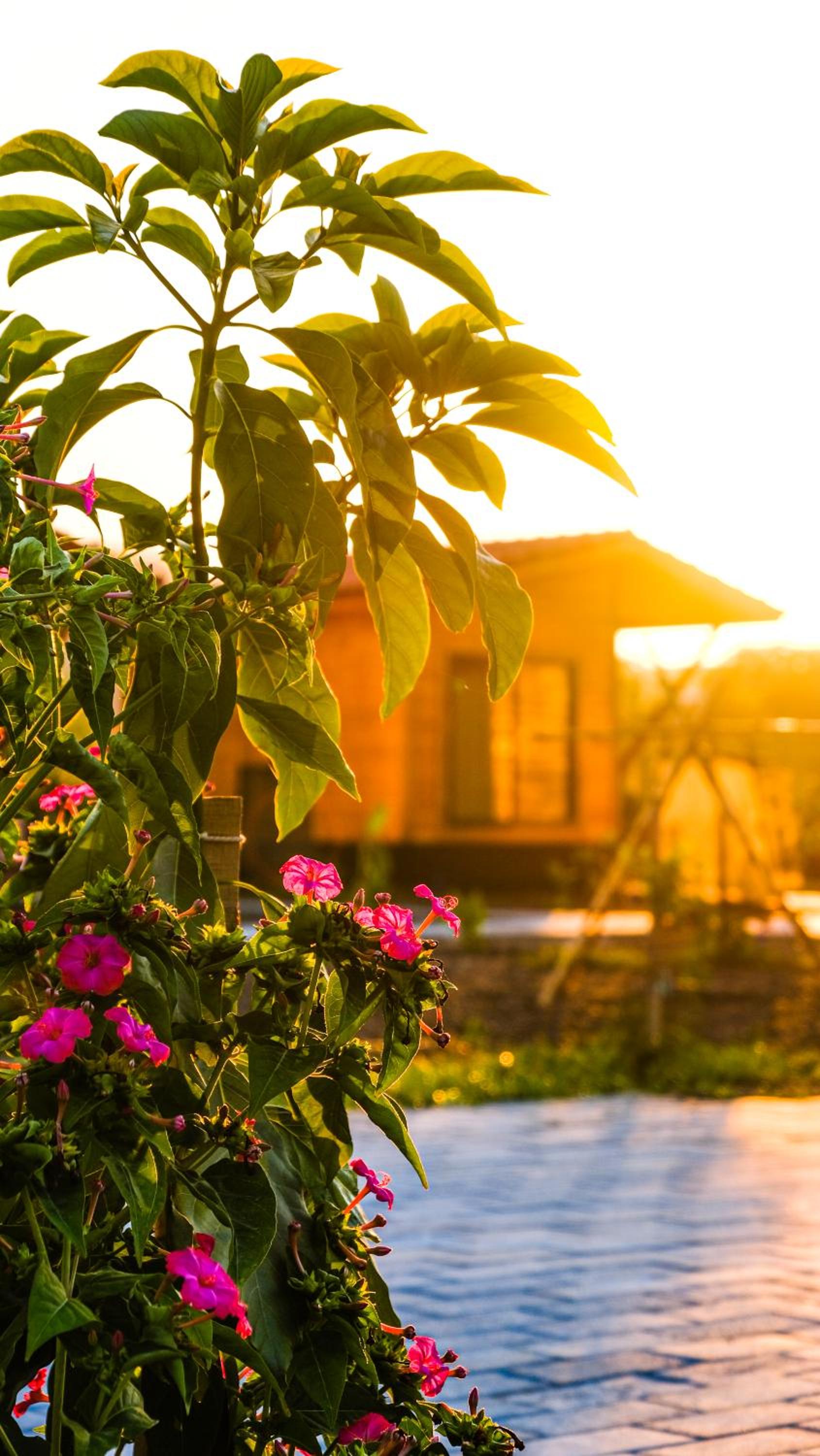 Lemon Garden Lodge