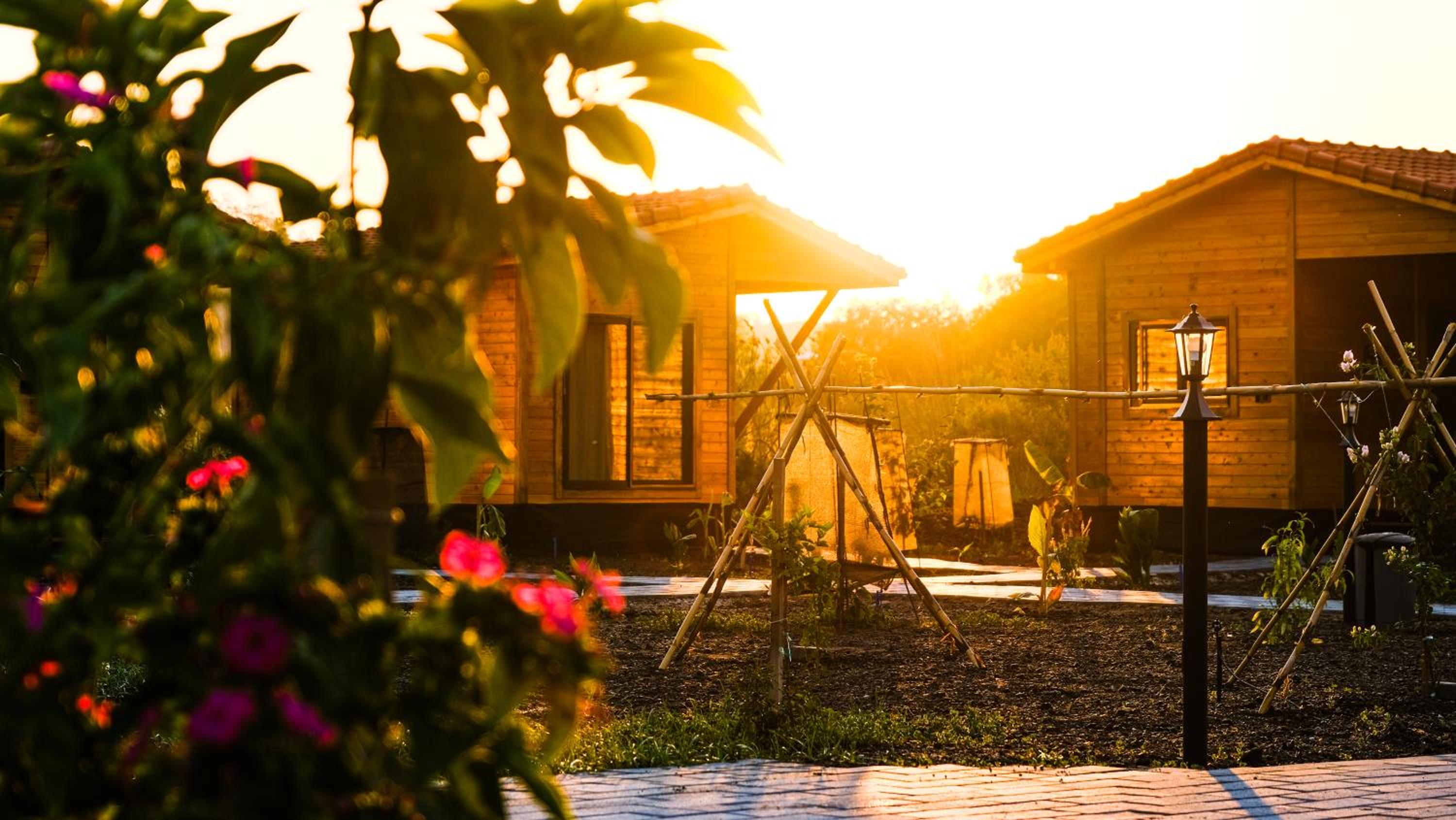 Lemon Garden Lodge