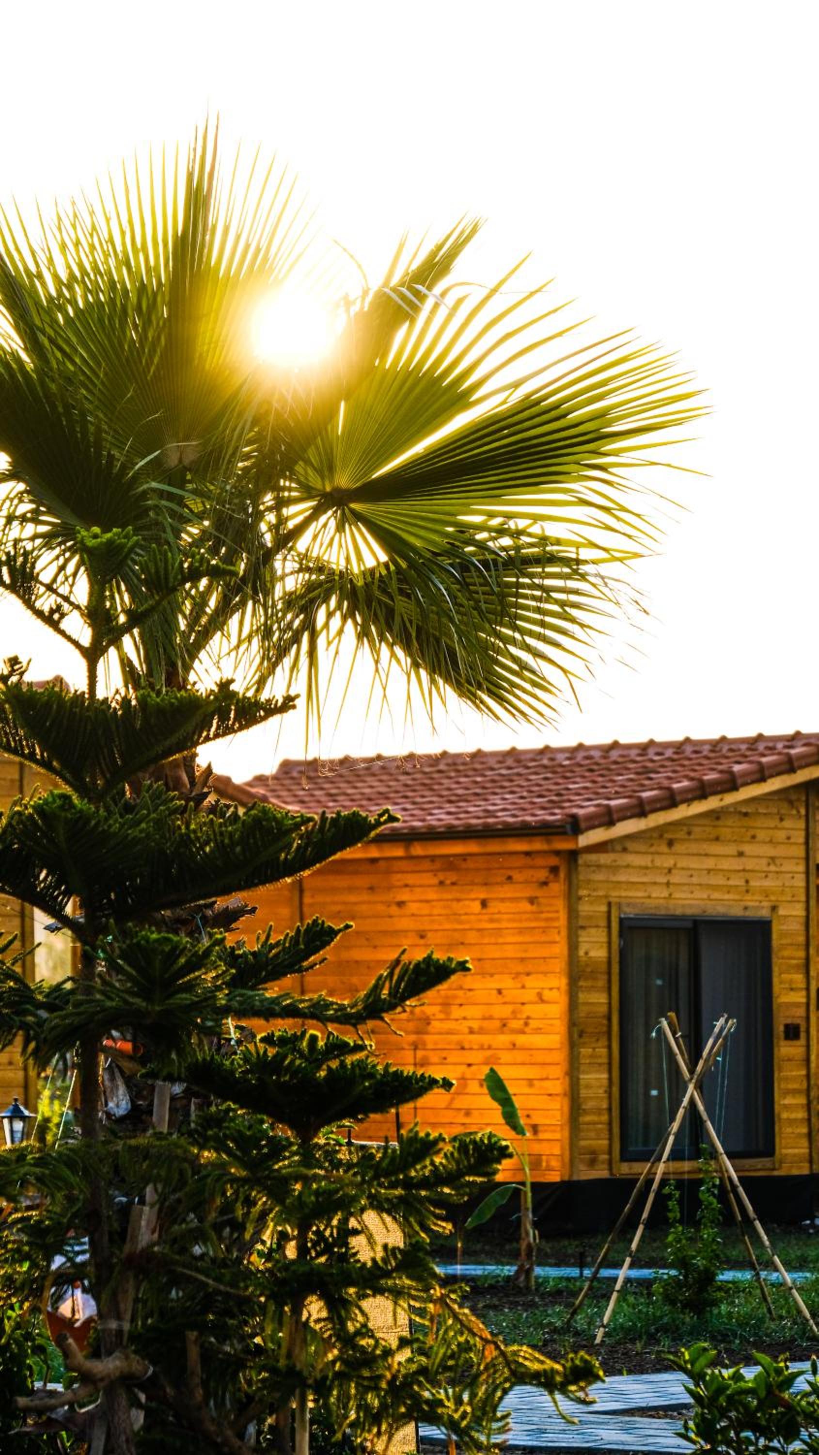 Lemon Garden Lodge