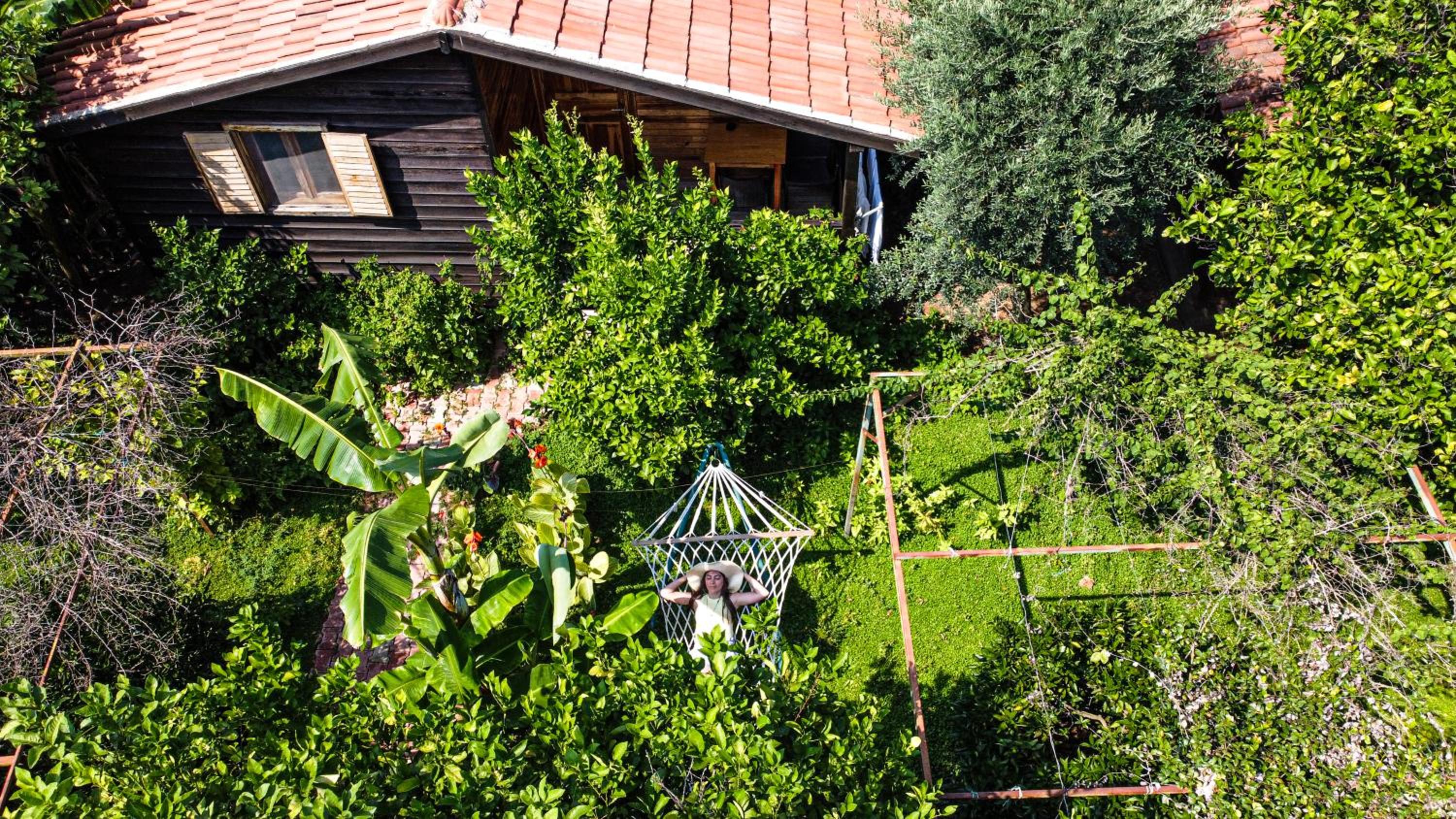 Lemon Garden Lodge