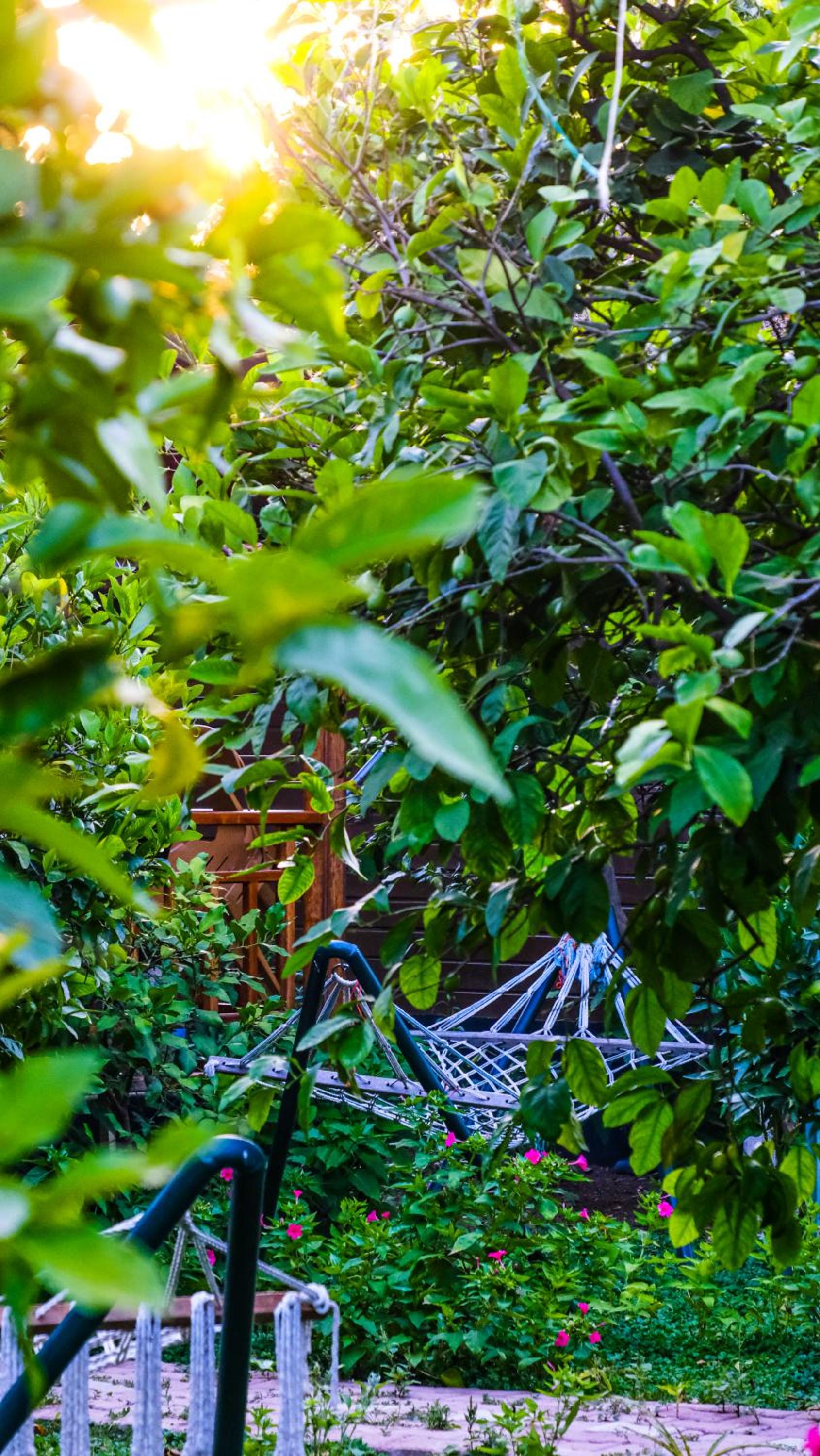 Lemon Garden Lodge