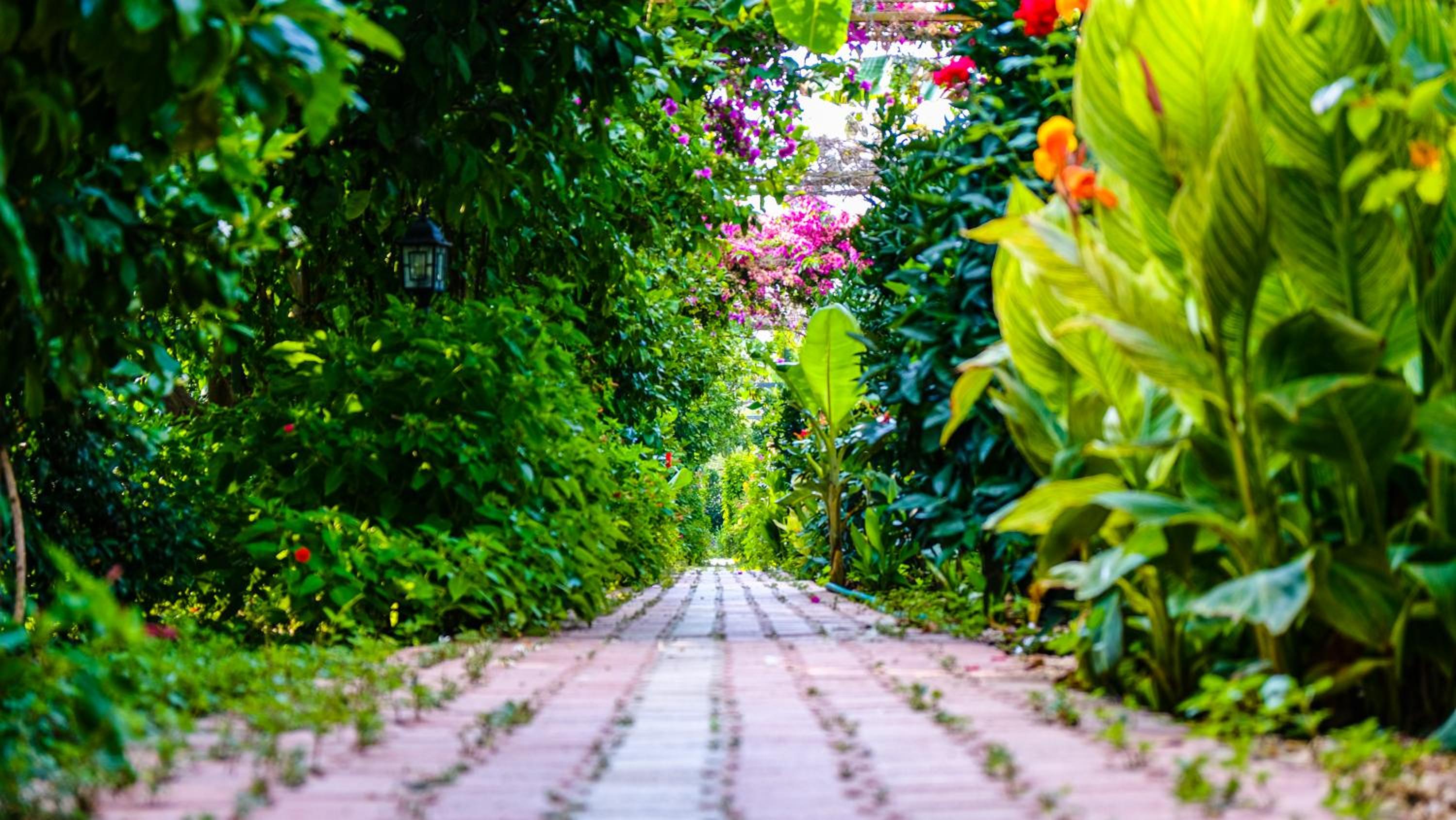 Lemon Garden Lodge
