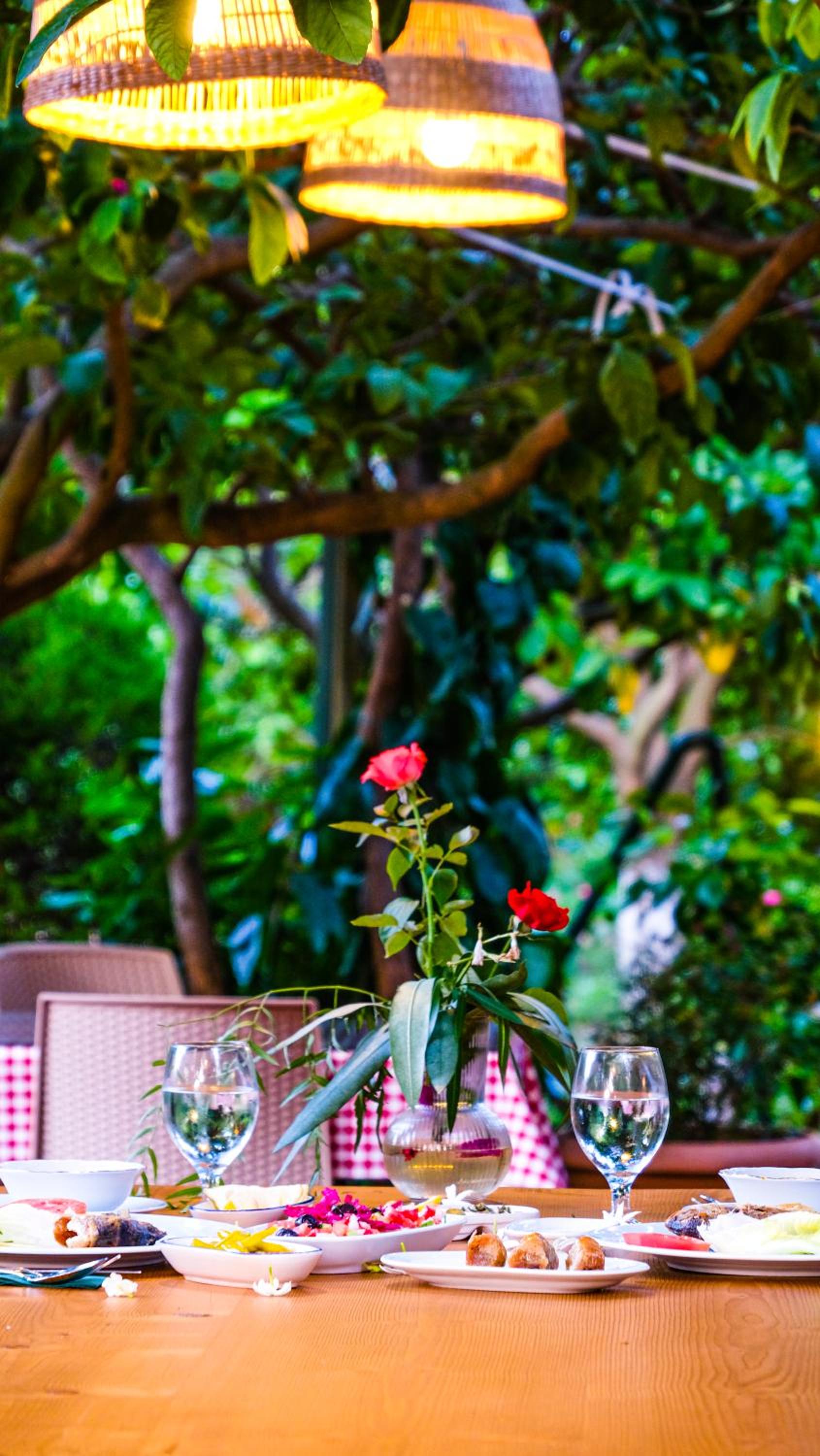 Lemon Garden Lodge