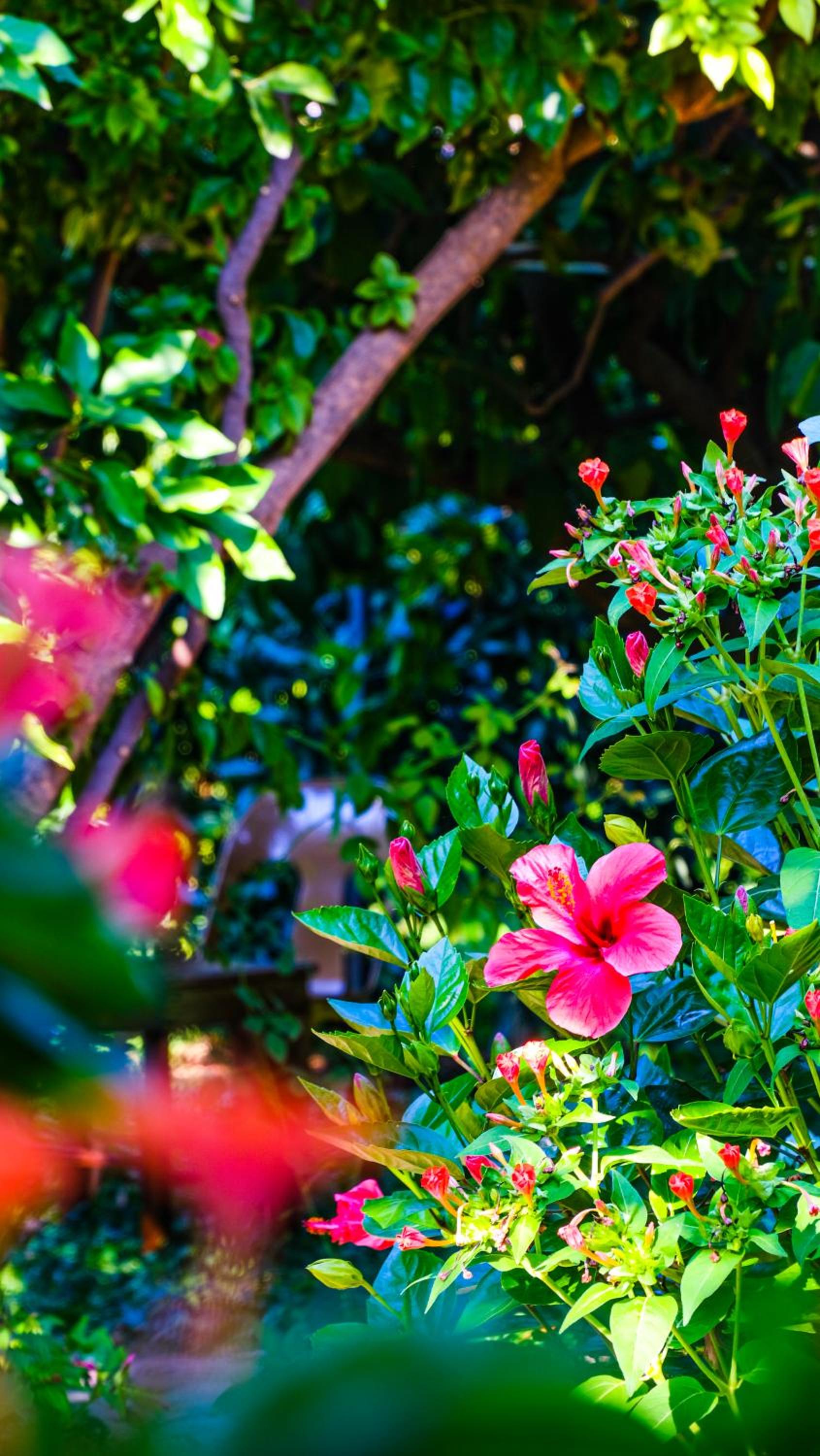 Lemon Garden Lodge