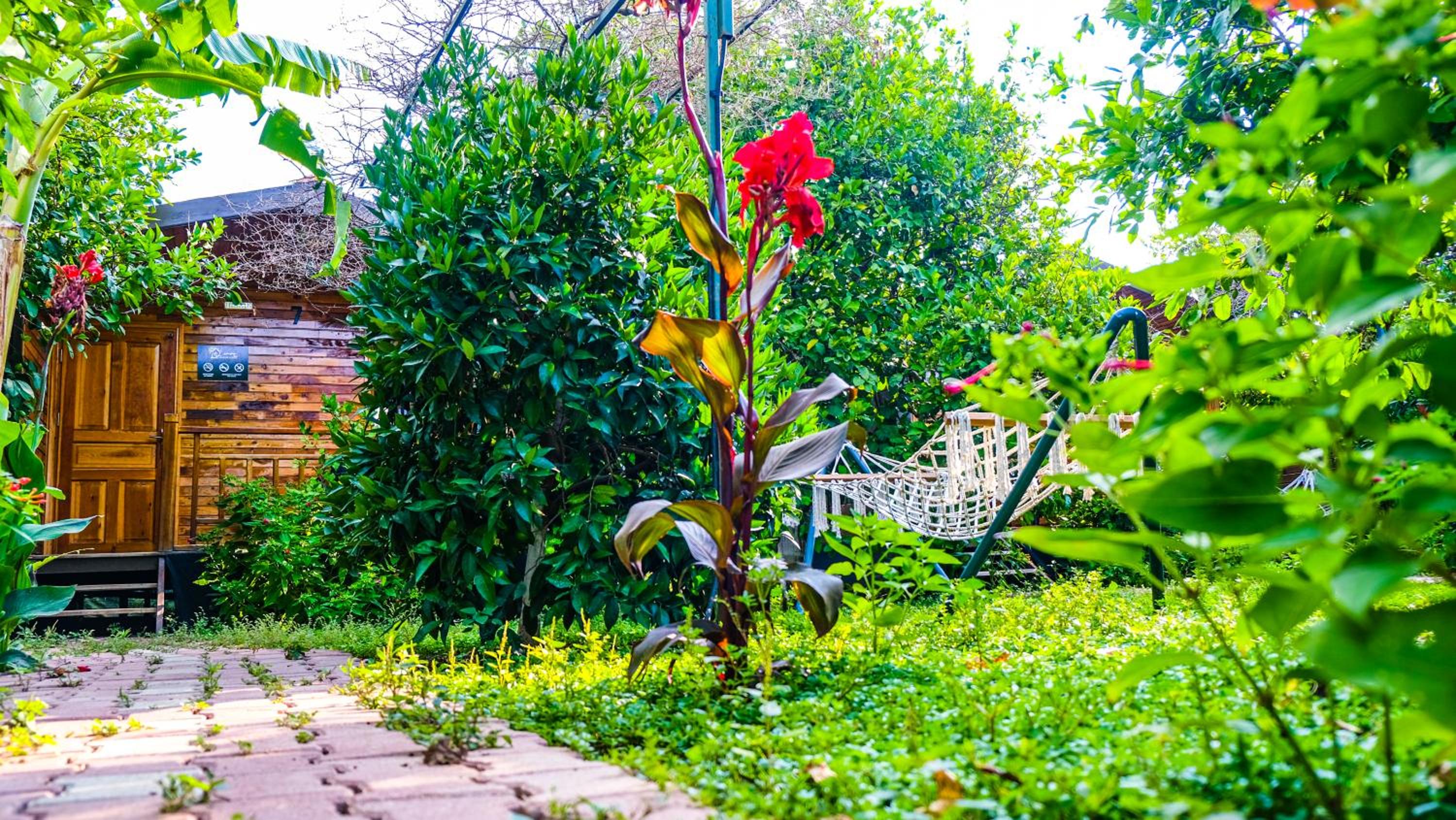 Lemon Garden Lodge