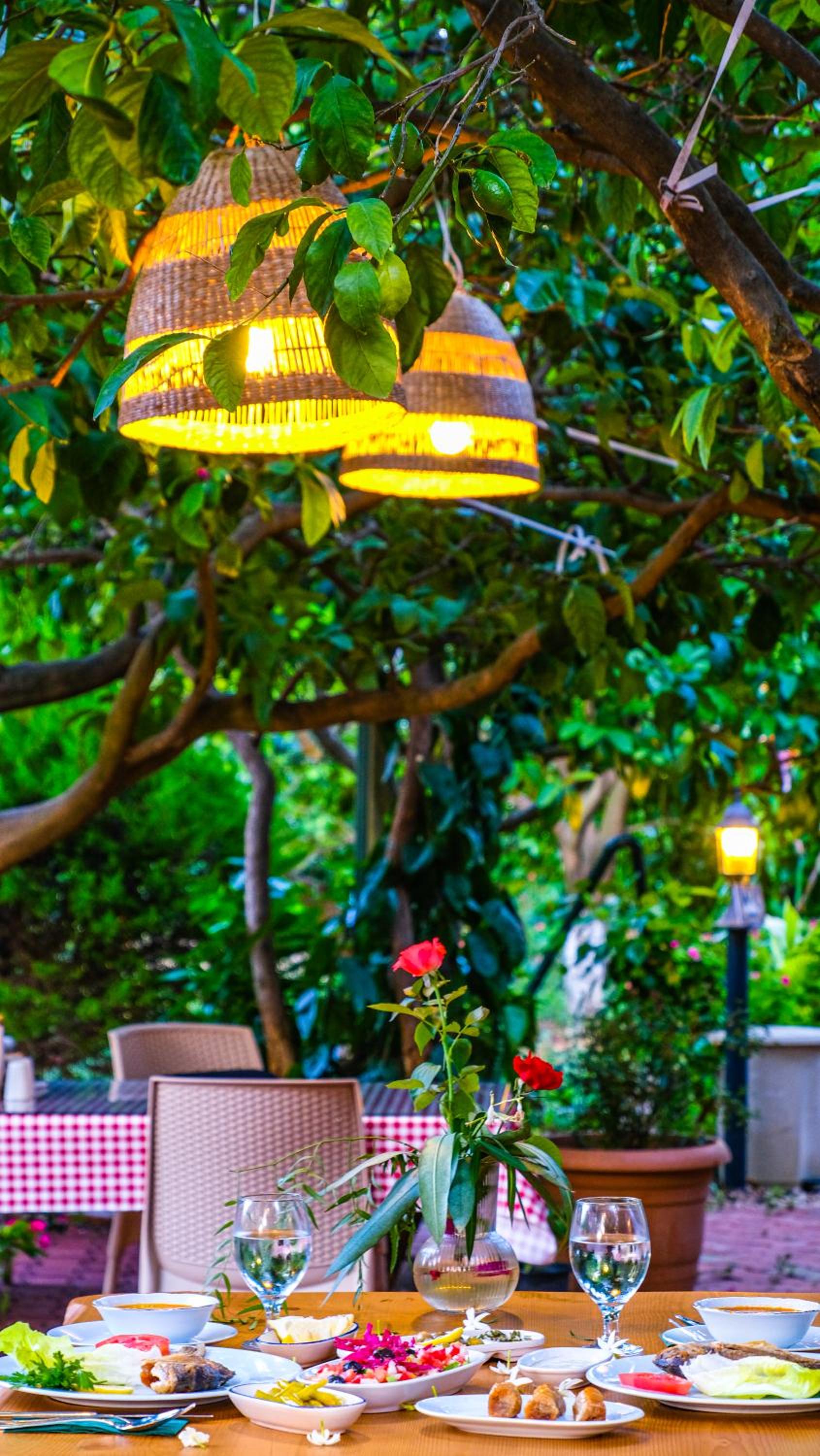 Lemon Garden Lodge