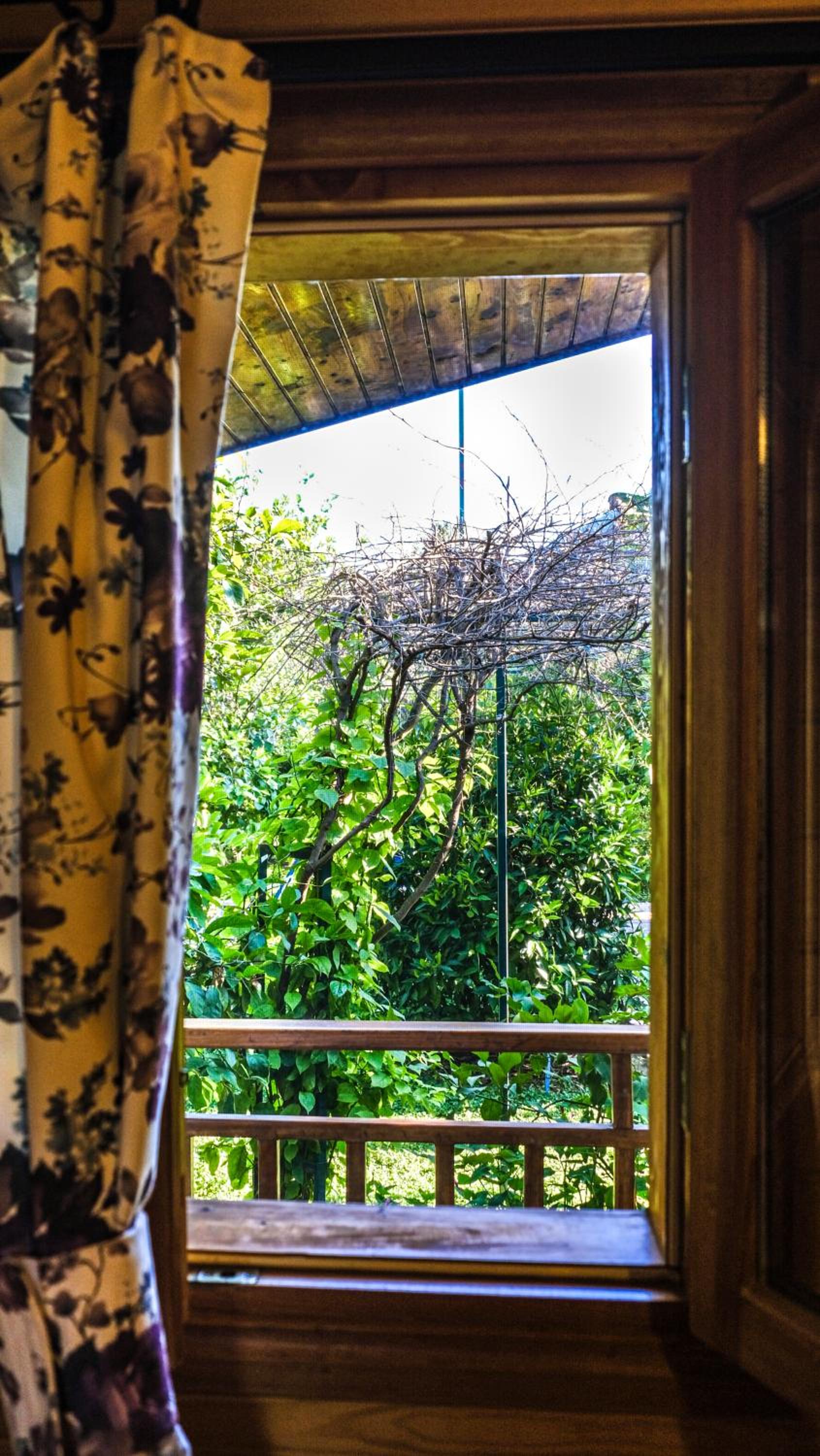 Lemon Garden Lodge