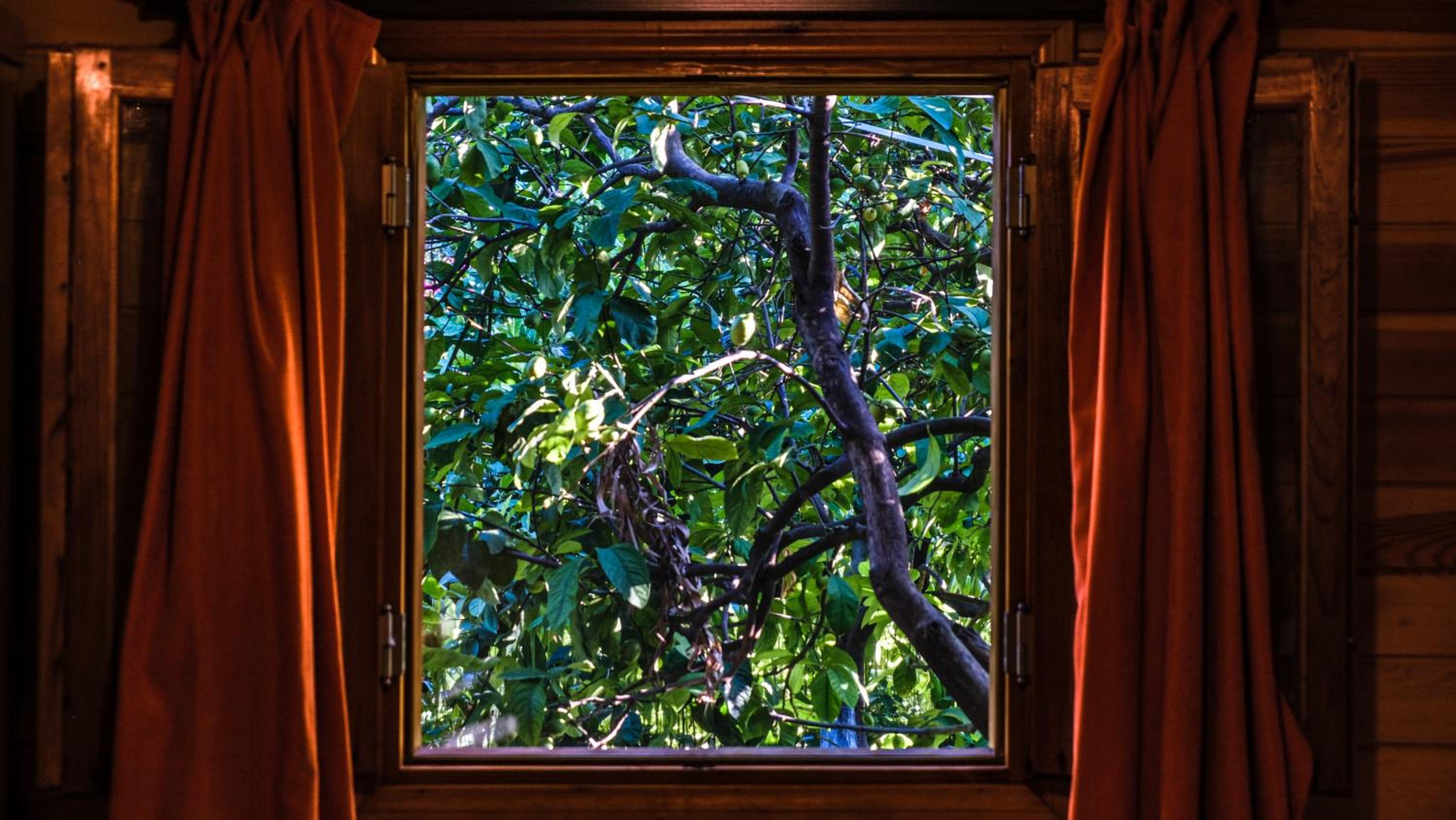 Lemon Garden Lodge