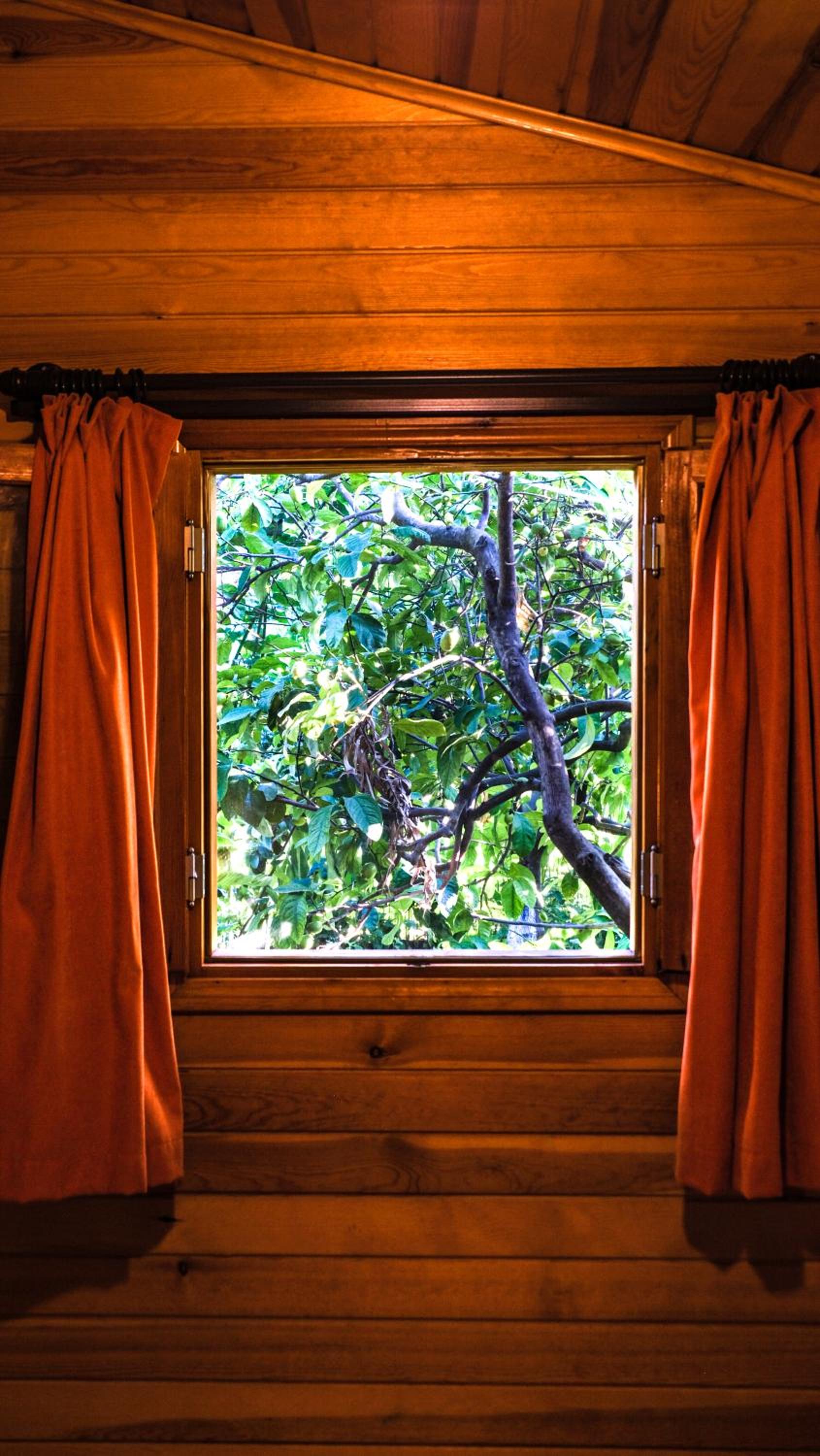 Lemon Garden Lodge