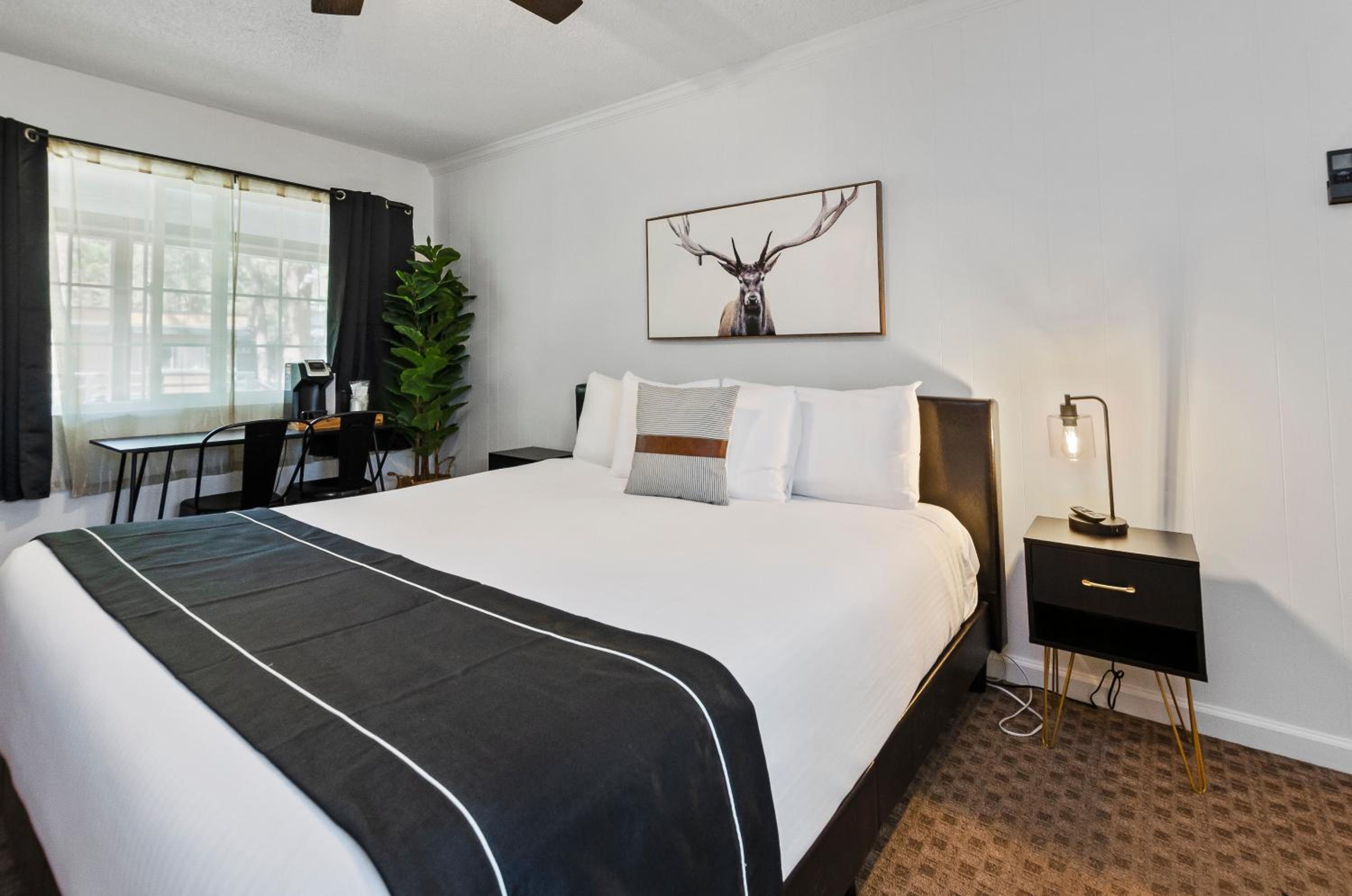 Lake Tahoe Vacations - The Jeffrey Hotel - Property Image 19