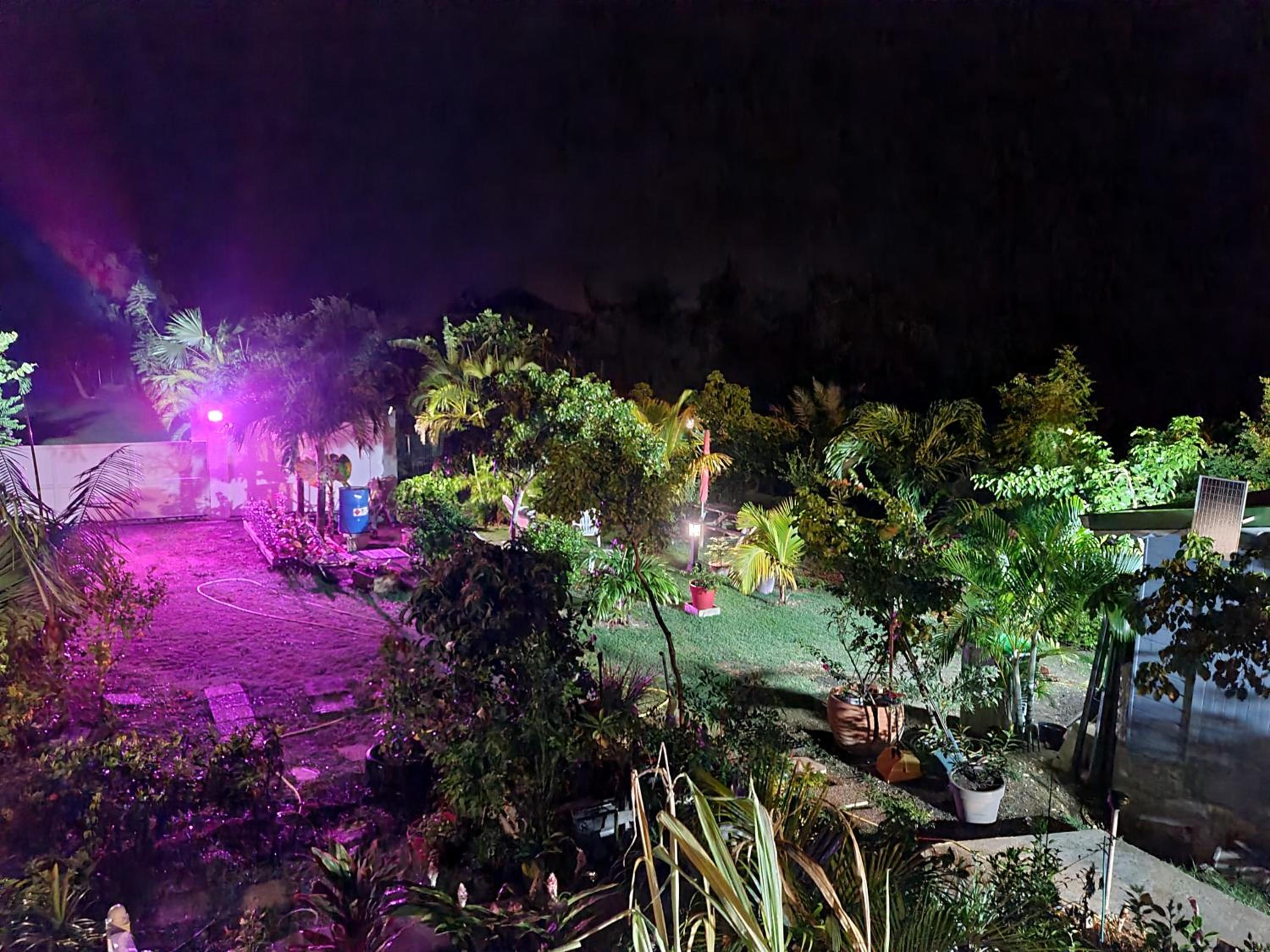 Le Domharry view 5