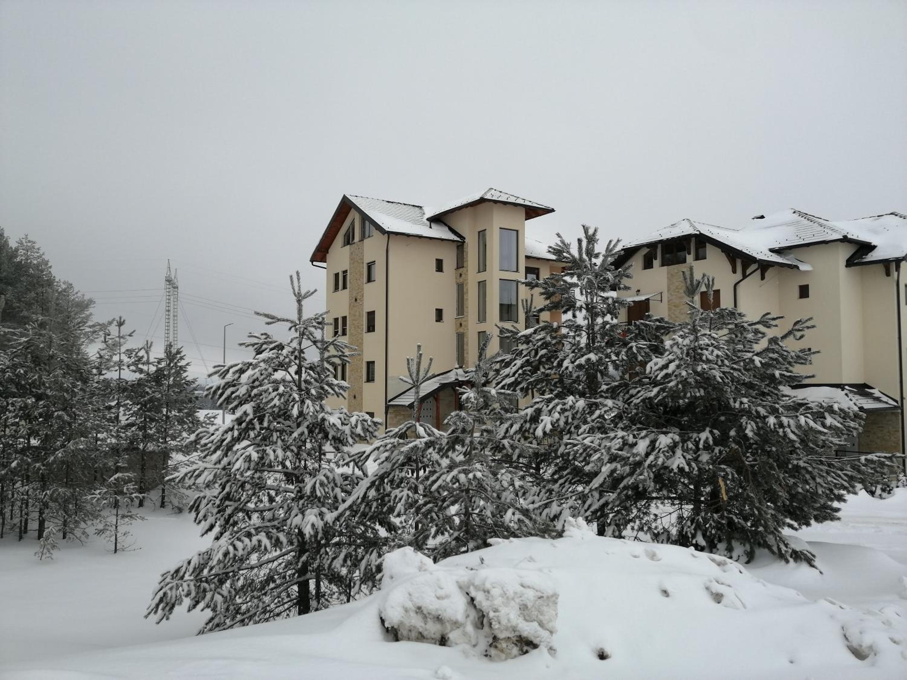 Photo 20