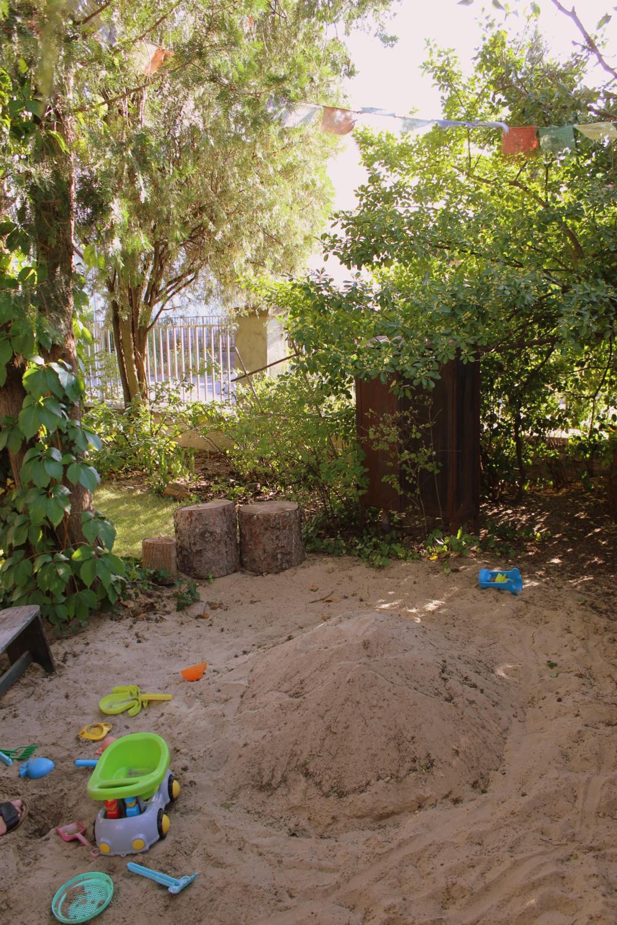 Photo 41
